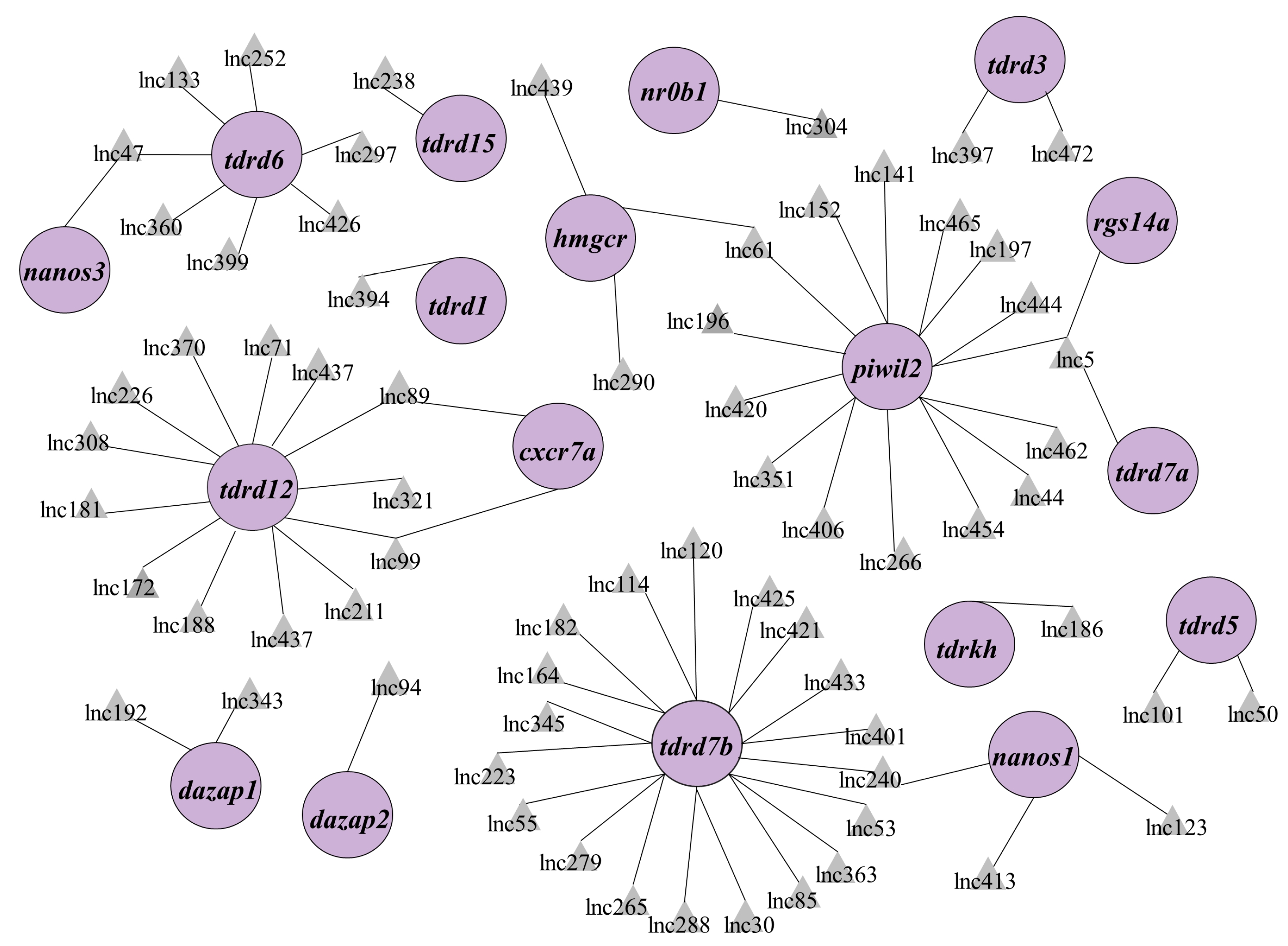 Cells 12 00672 g003 Cells 12 00672 g003