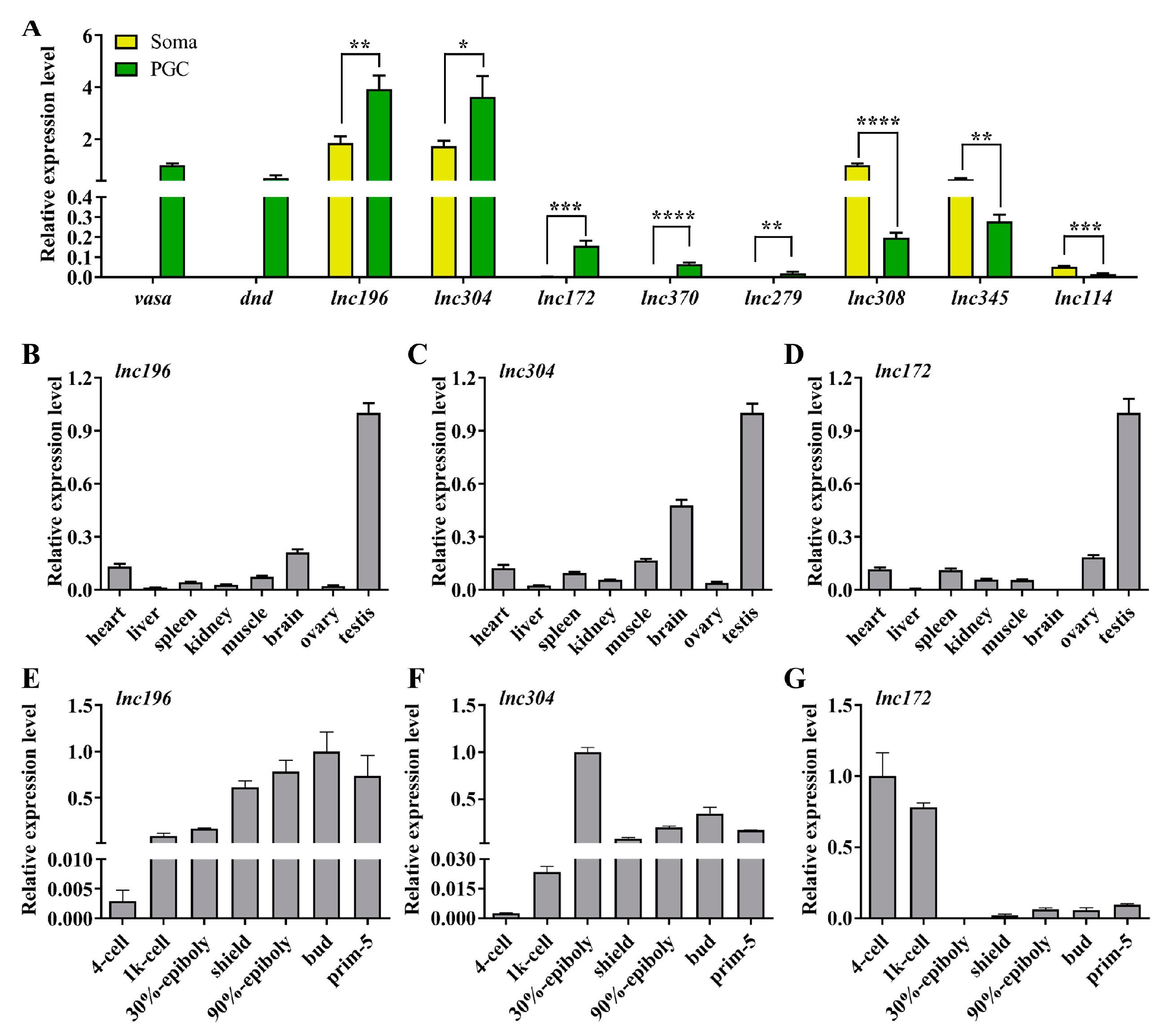 Cells 12 00672 g004 Cells 12 00672 g004