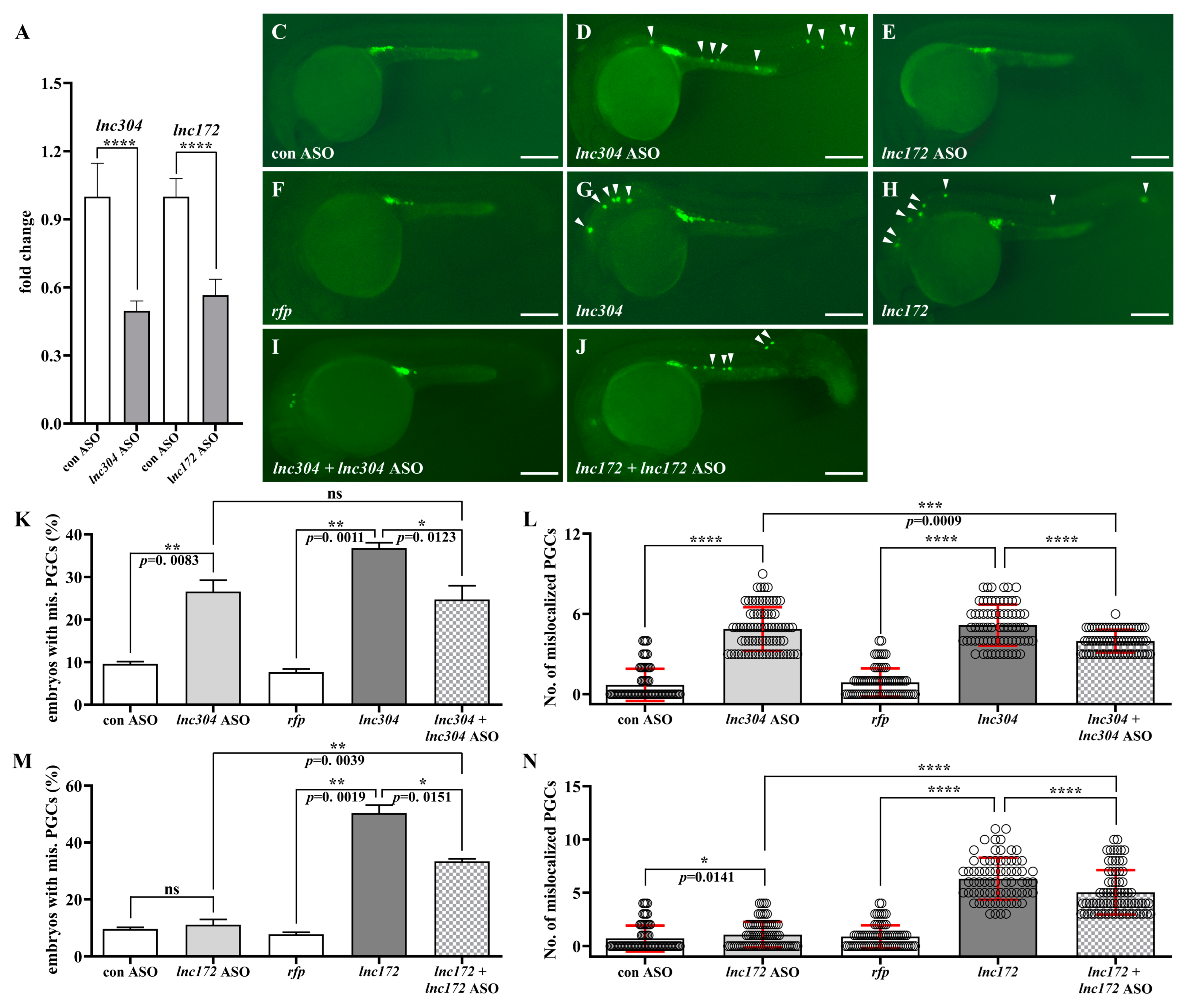 Cells 12 00672 g007 Cells 12 00672 g007
