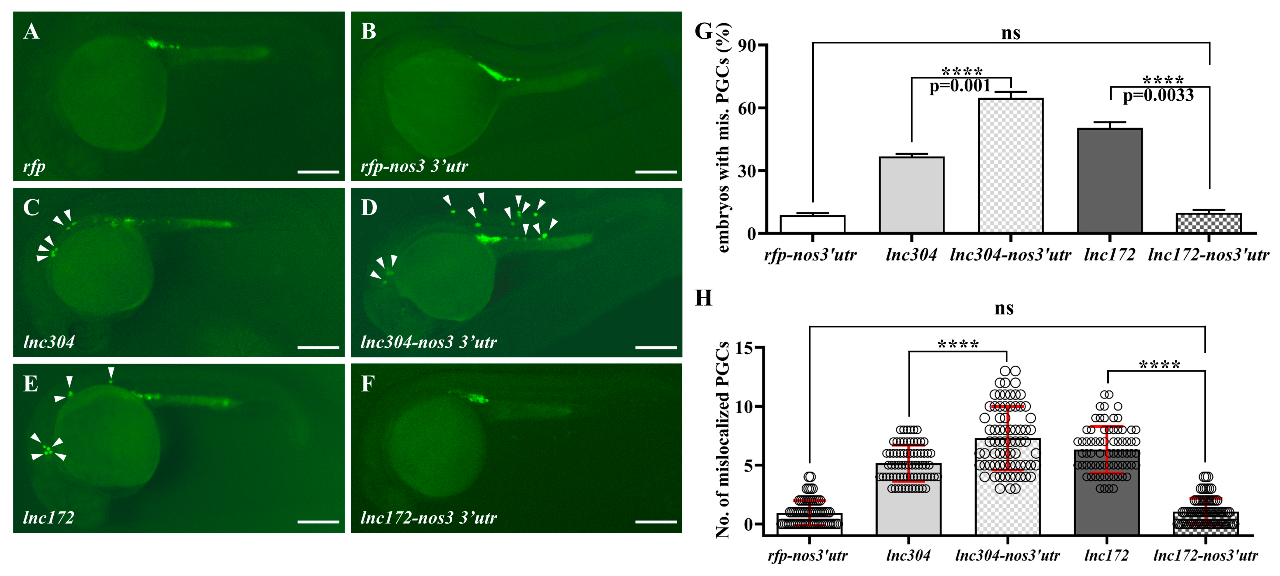 Cells 12 00672 g008 Cells 12 00672 g008
