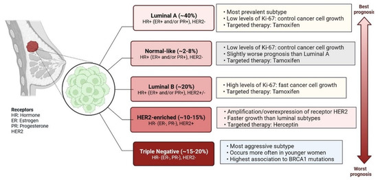 Cells | Free Full-Text | Recent Clinical Advances on Long Non-Coding ...
