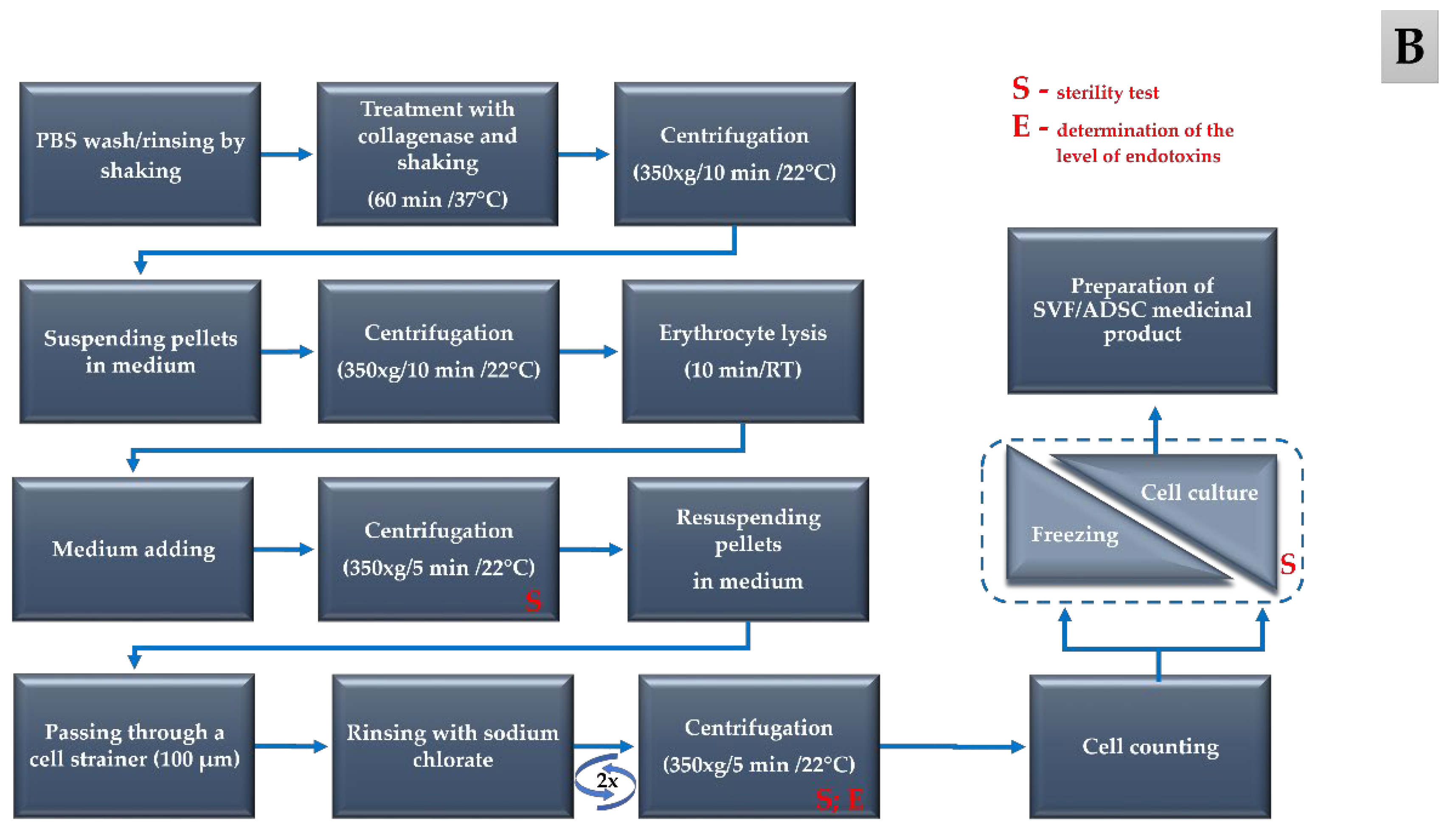Cells 12 00680 g001b
