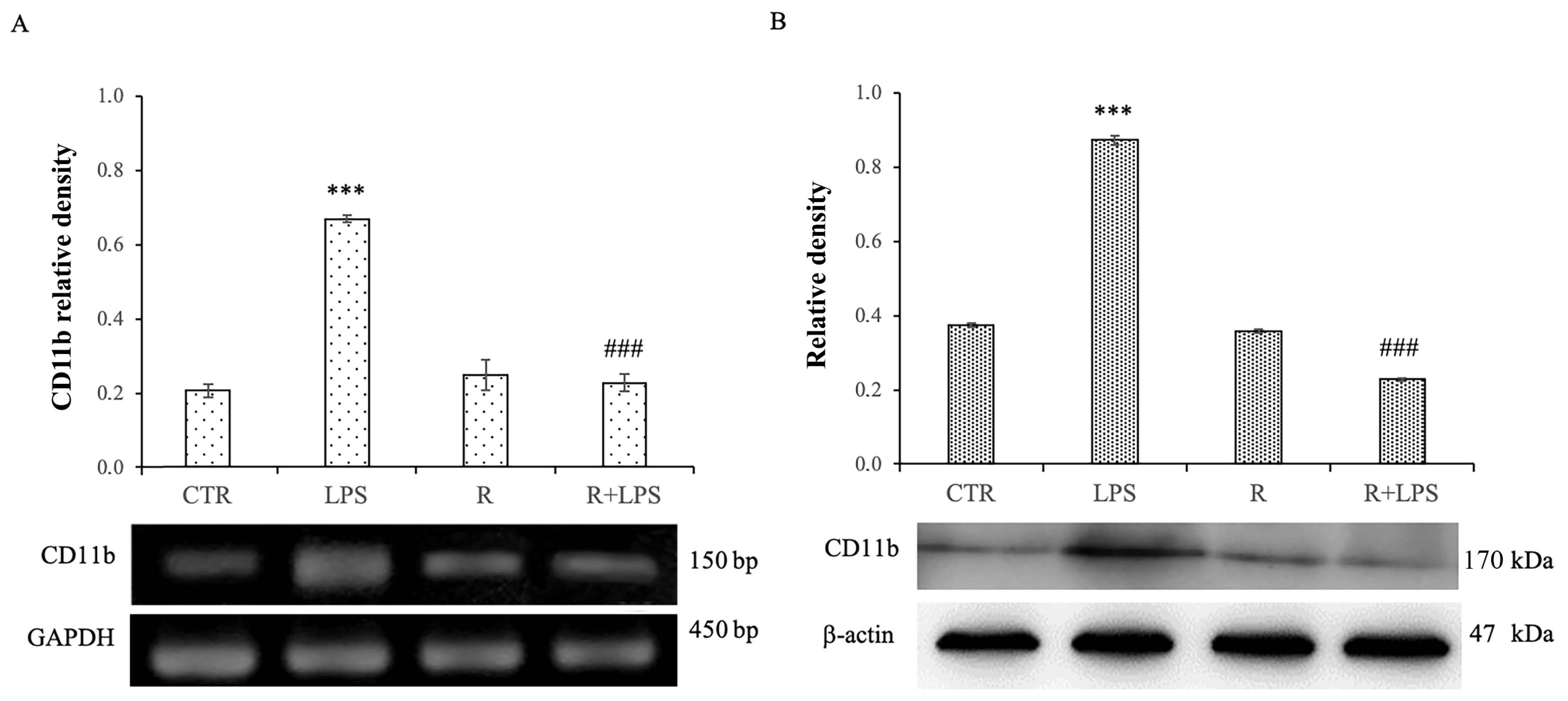 Cells 12 00681 g002 Cells 12 00681 g002