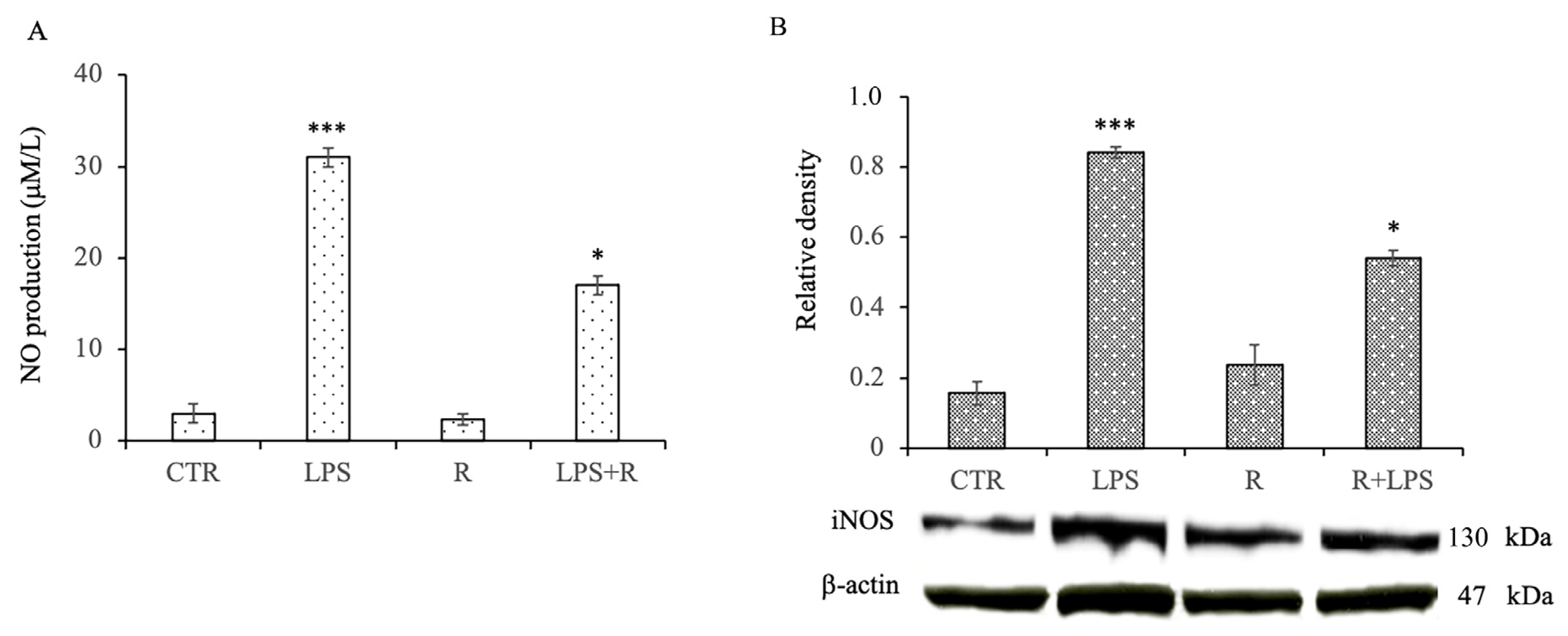 Cells 12 00681 g003 Cells 12 00681 g003
