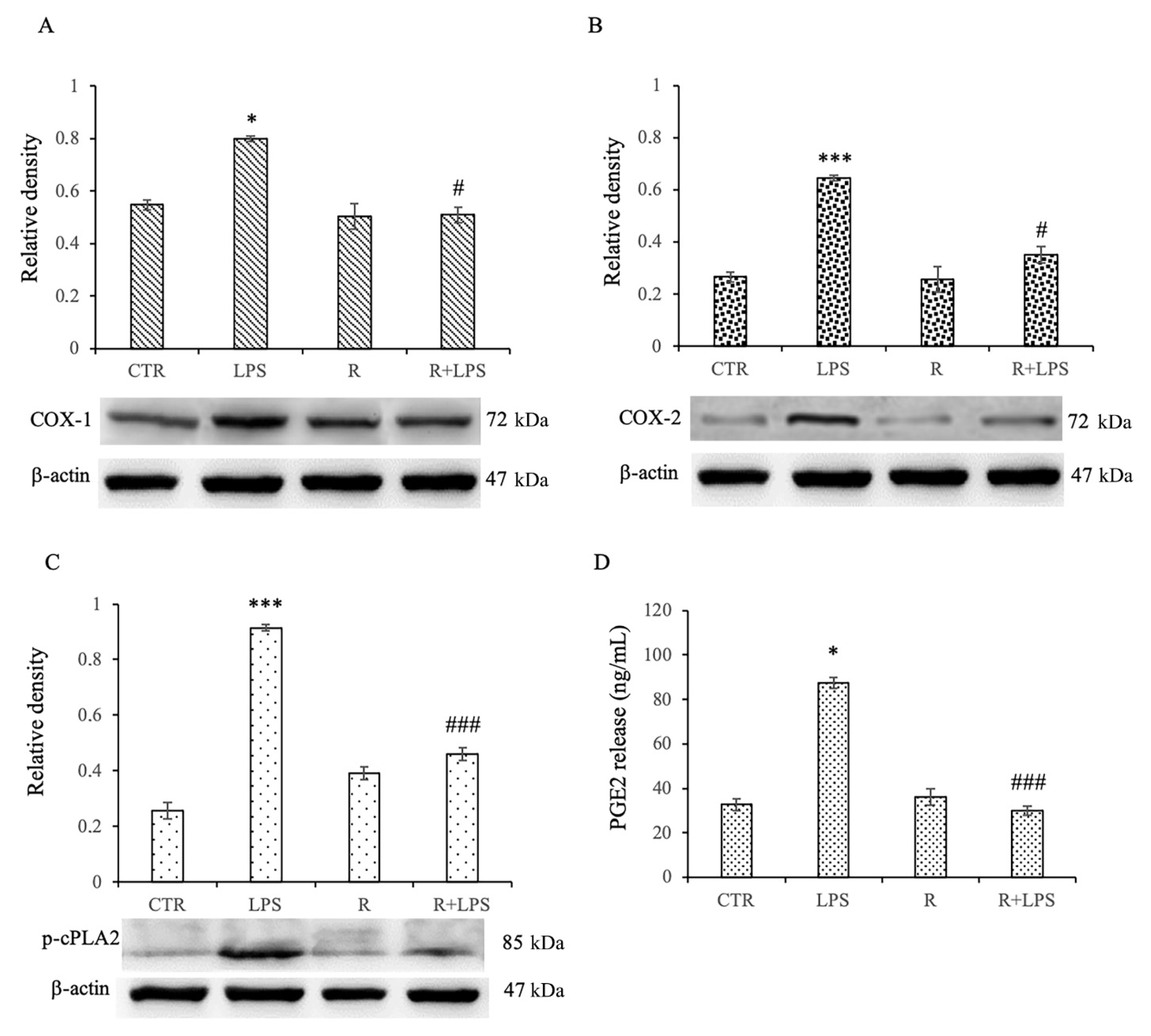 Cells 12 00681 g005 Cells 12 00681 g005
