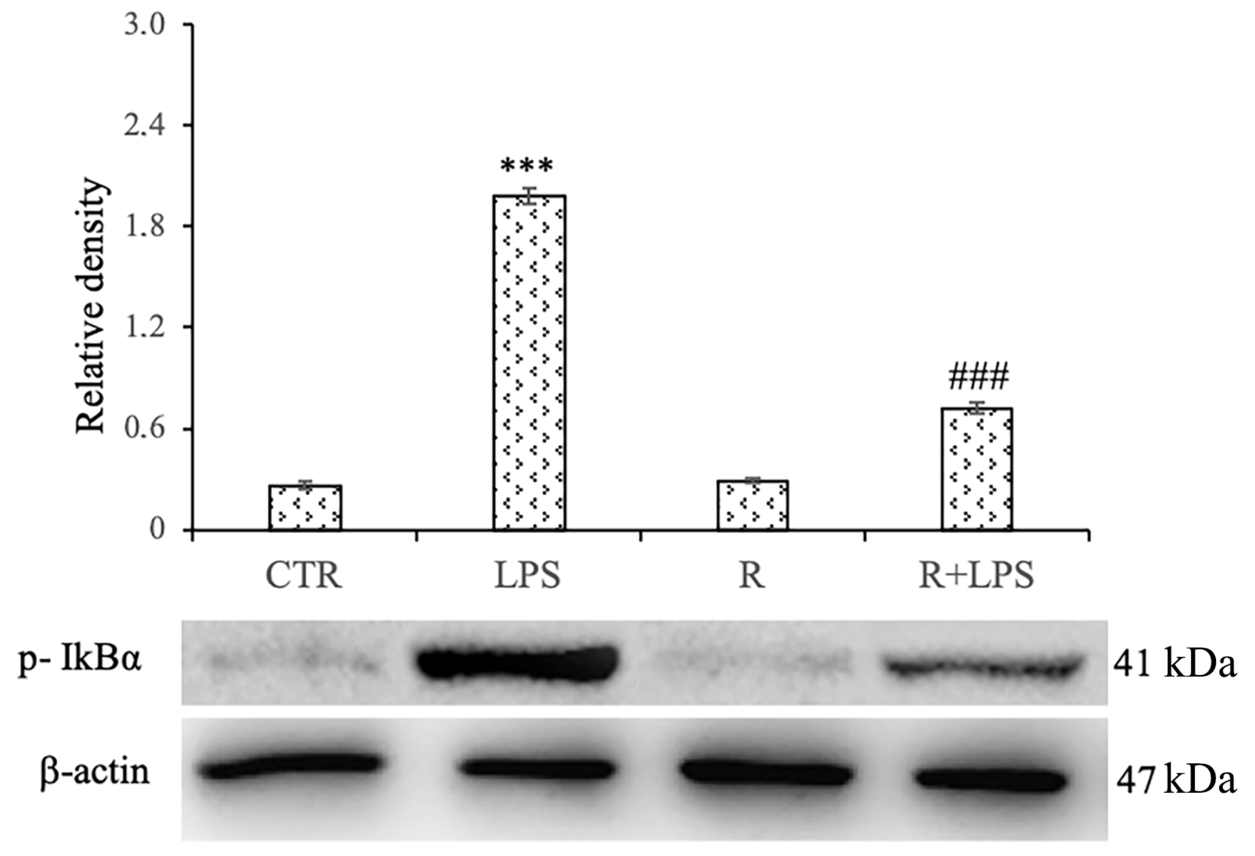 Cells 12 00681 g006 Cells 12 00681 g006