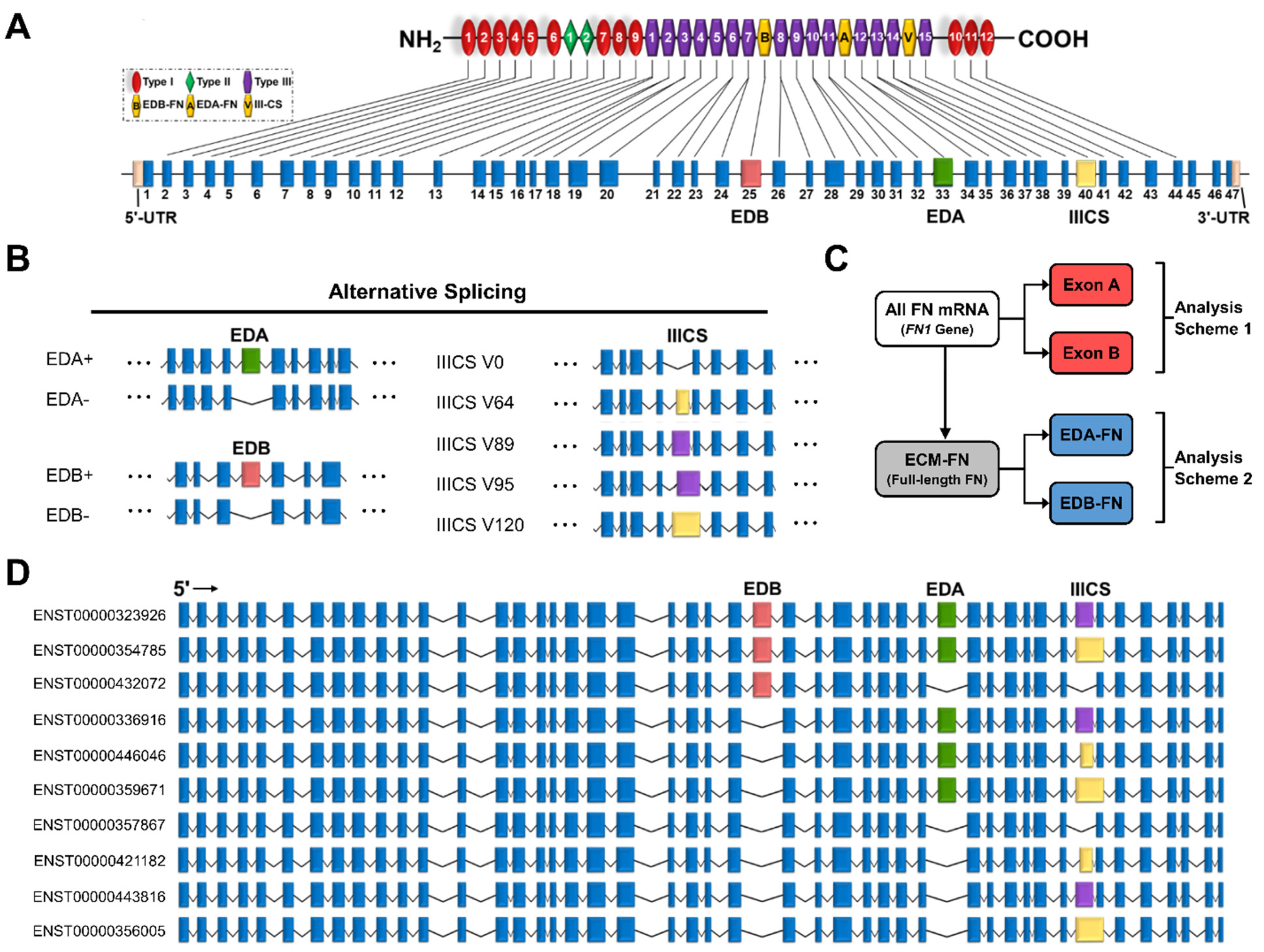 Cells 12 00685 g002 Cells 12 00685 g002