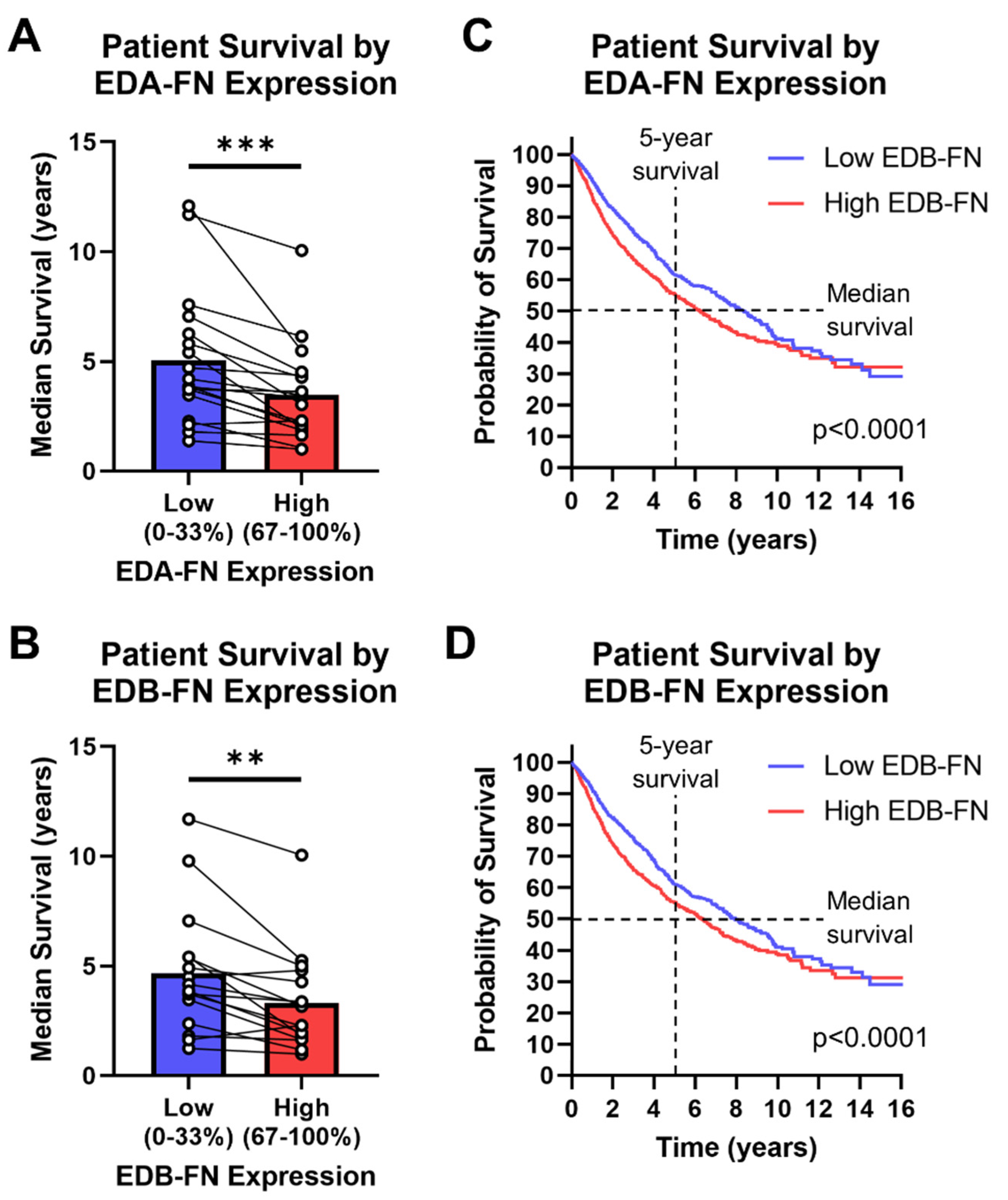 Cells 12 00685 g008 Cells 12 00685 g008