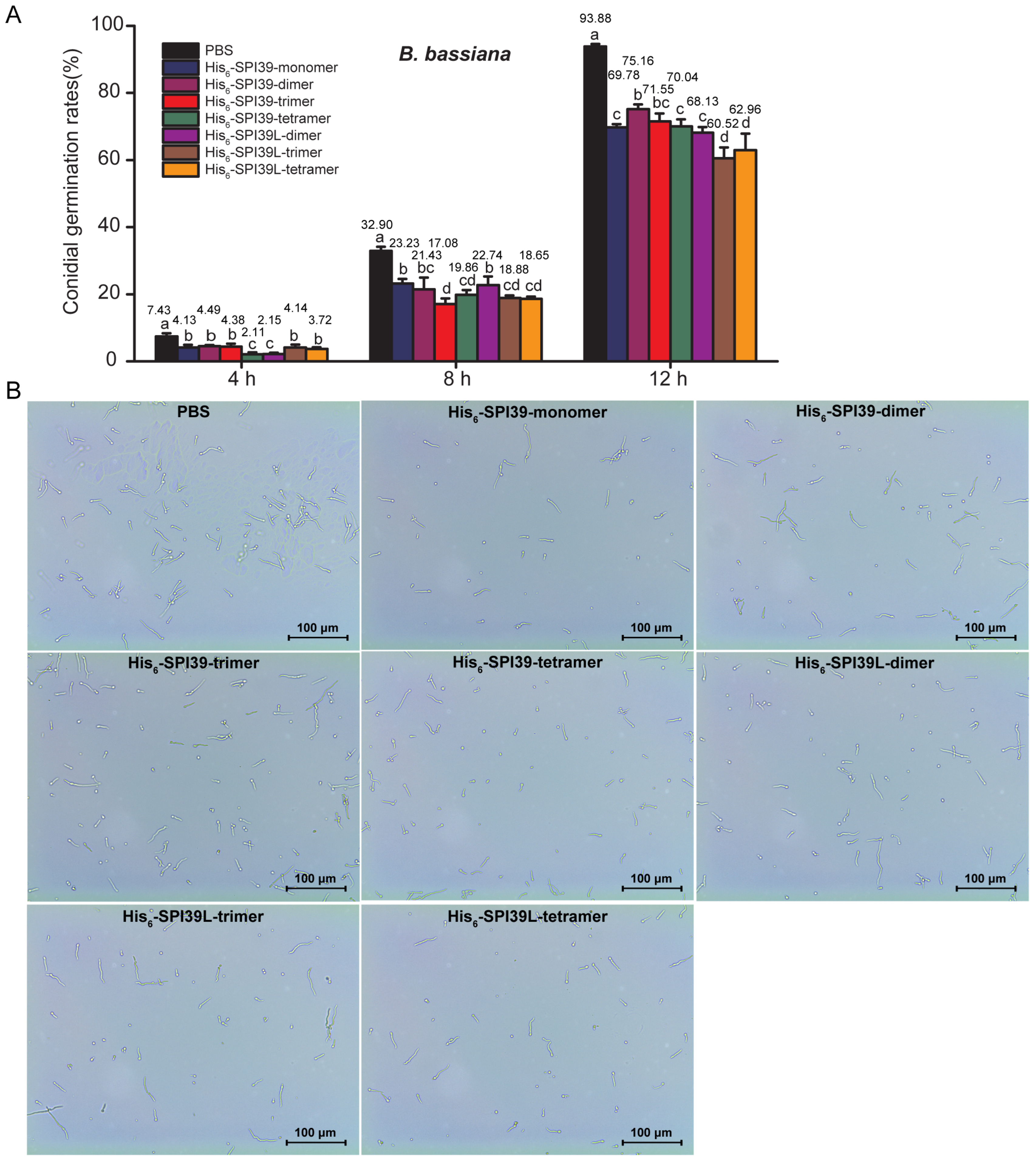 Cells 12 00693 g005 Cells 12 00693 g005
