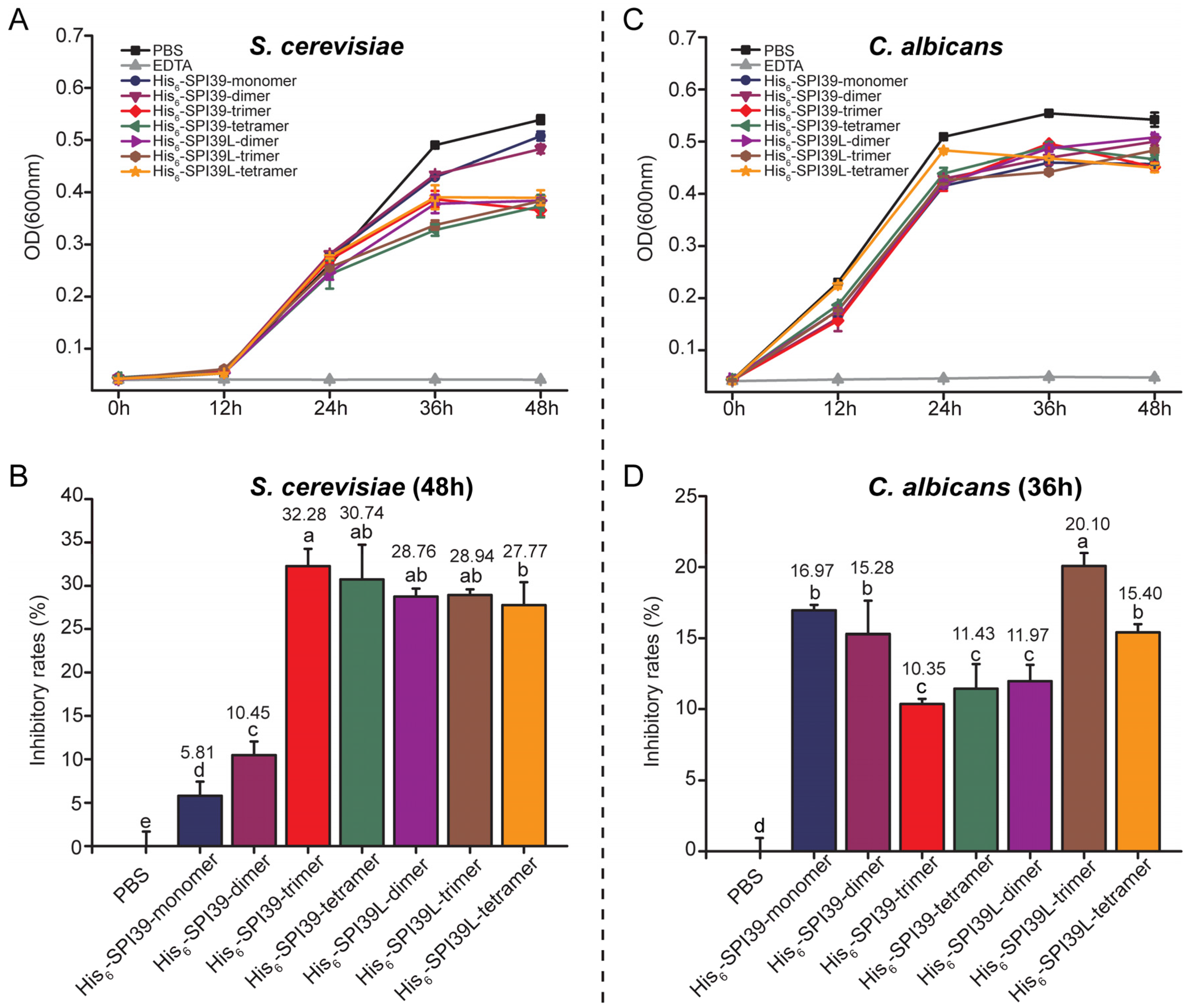 Cells 12 00693 g006 Cells 12 00693 g006