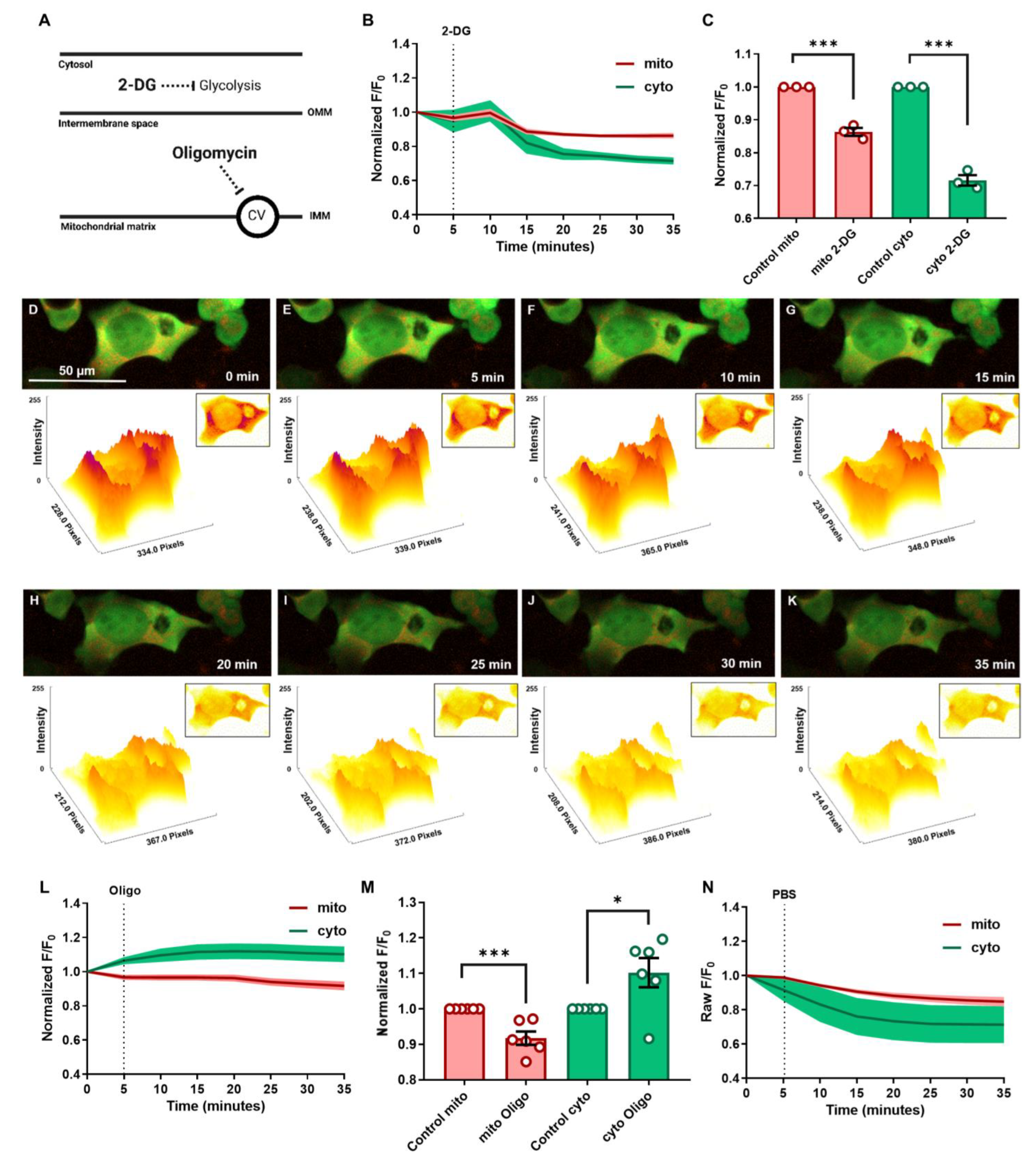Cells 12 00695 g003 Cells 12 00695 g003