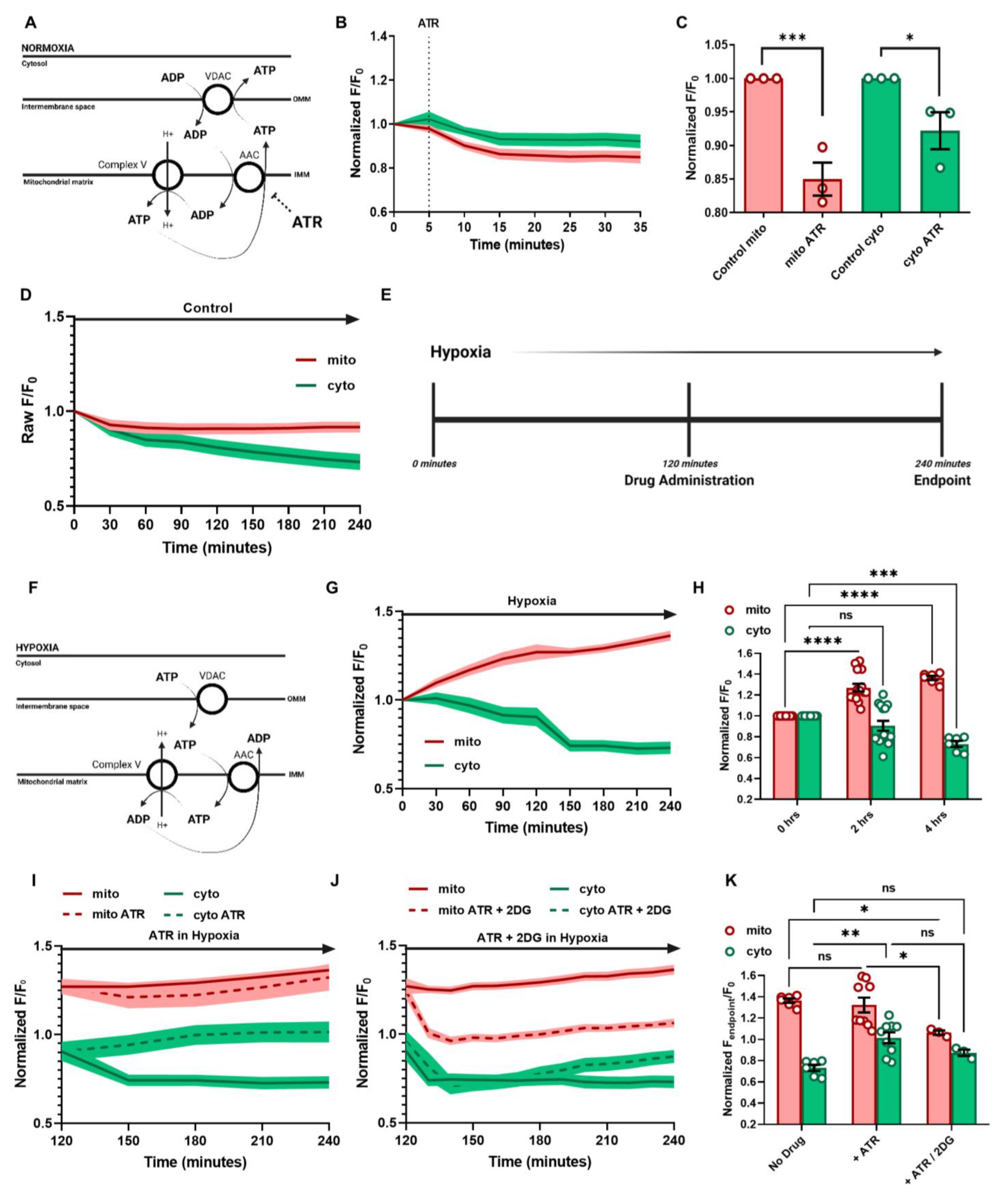 Cells 12 00695 g004 Cells 12 00695 g004