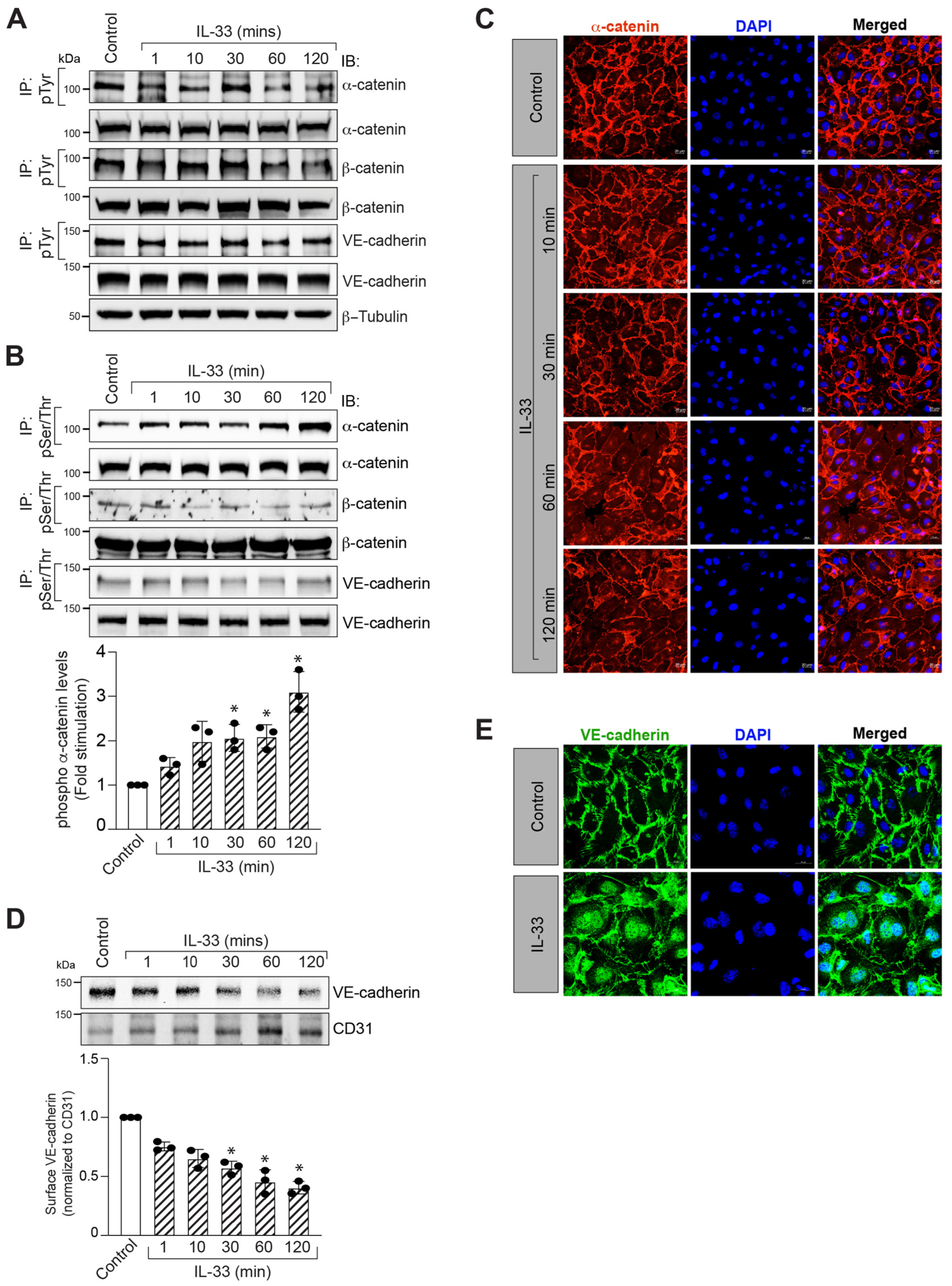 Cells 12 00703 g002 Cells 12 00703 g002