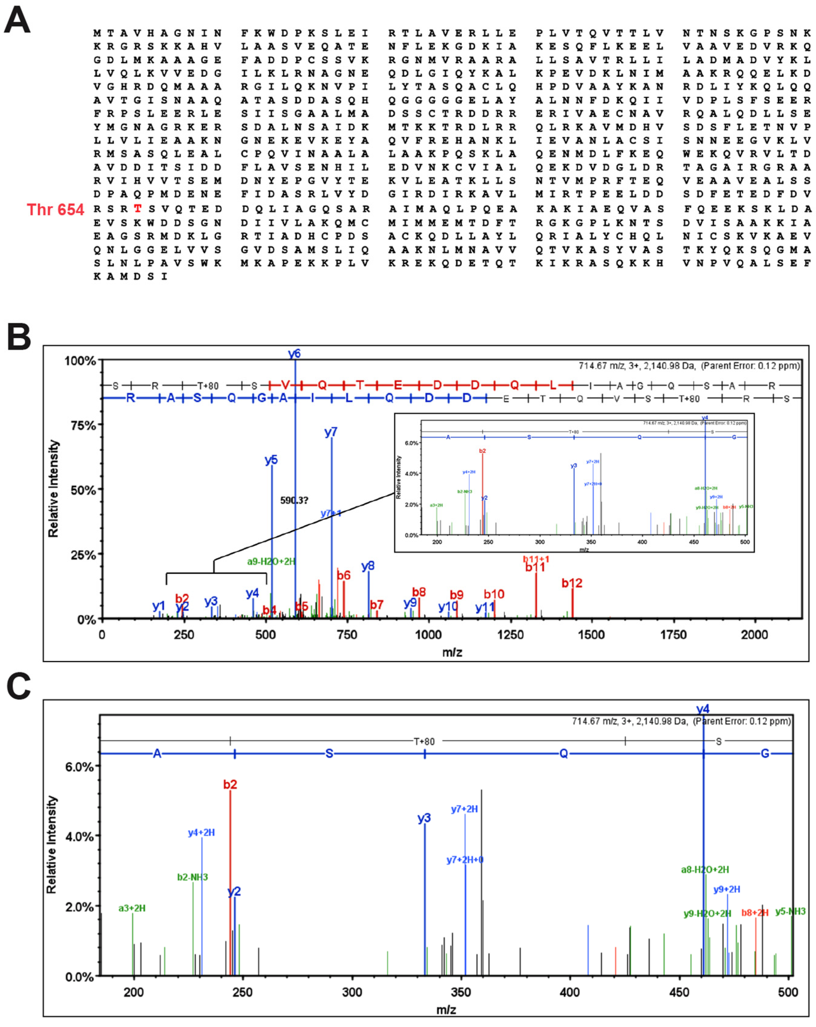 Cells 12 00703 g003 Cells 12 00703 g003