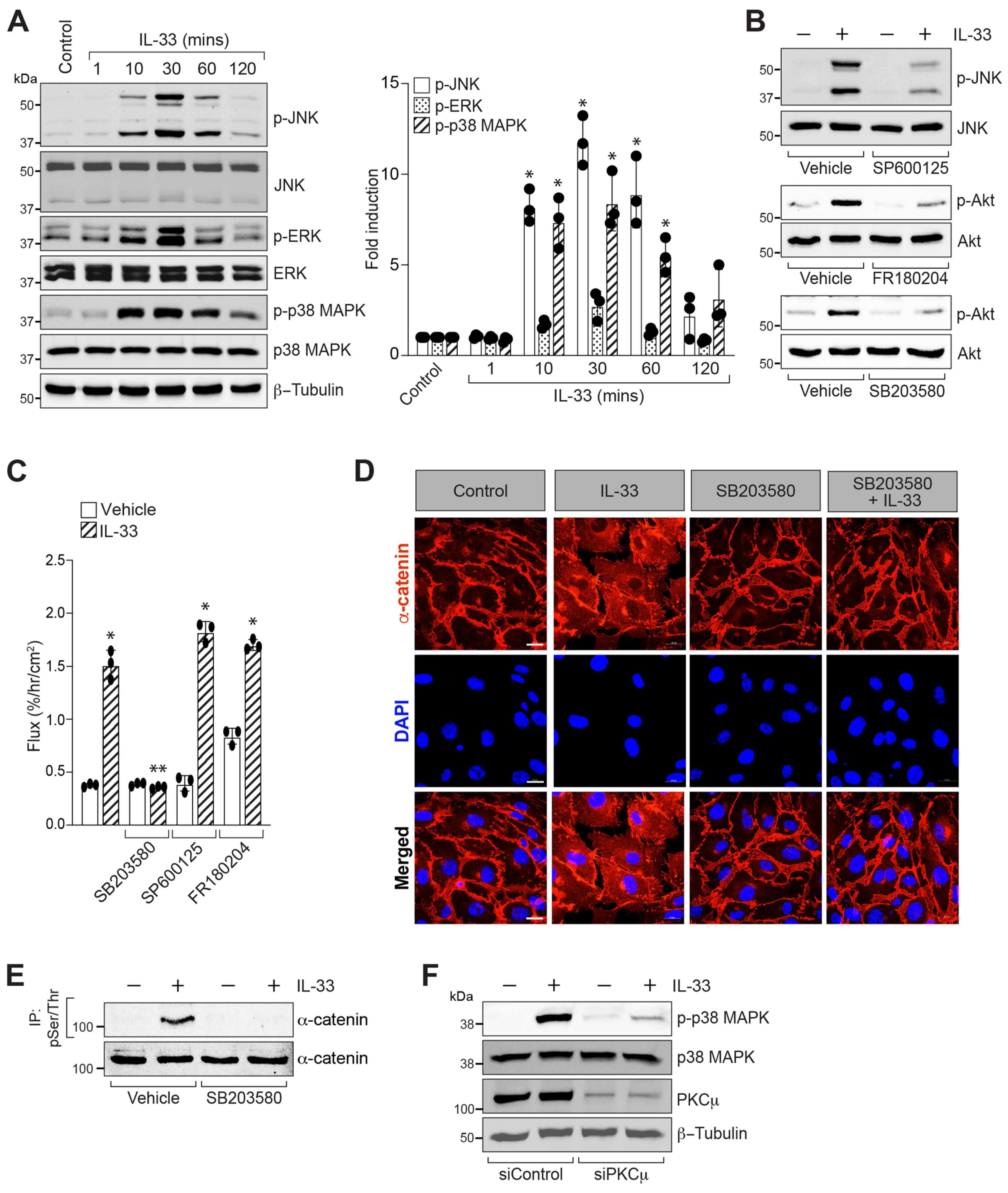 Cells 12 00703 g006 Cells 12 00703 g006