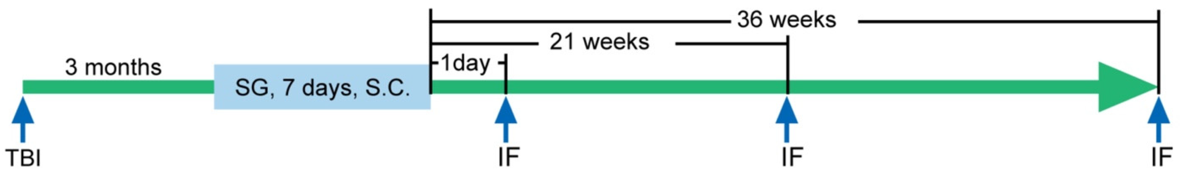 Cells 12 00705 g001 Cells 12 00705 g001