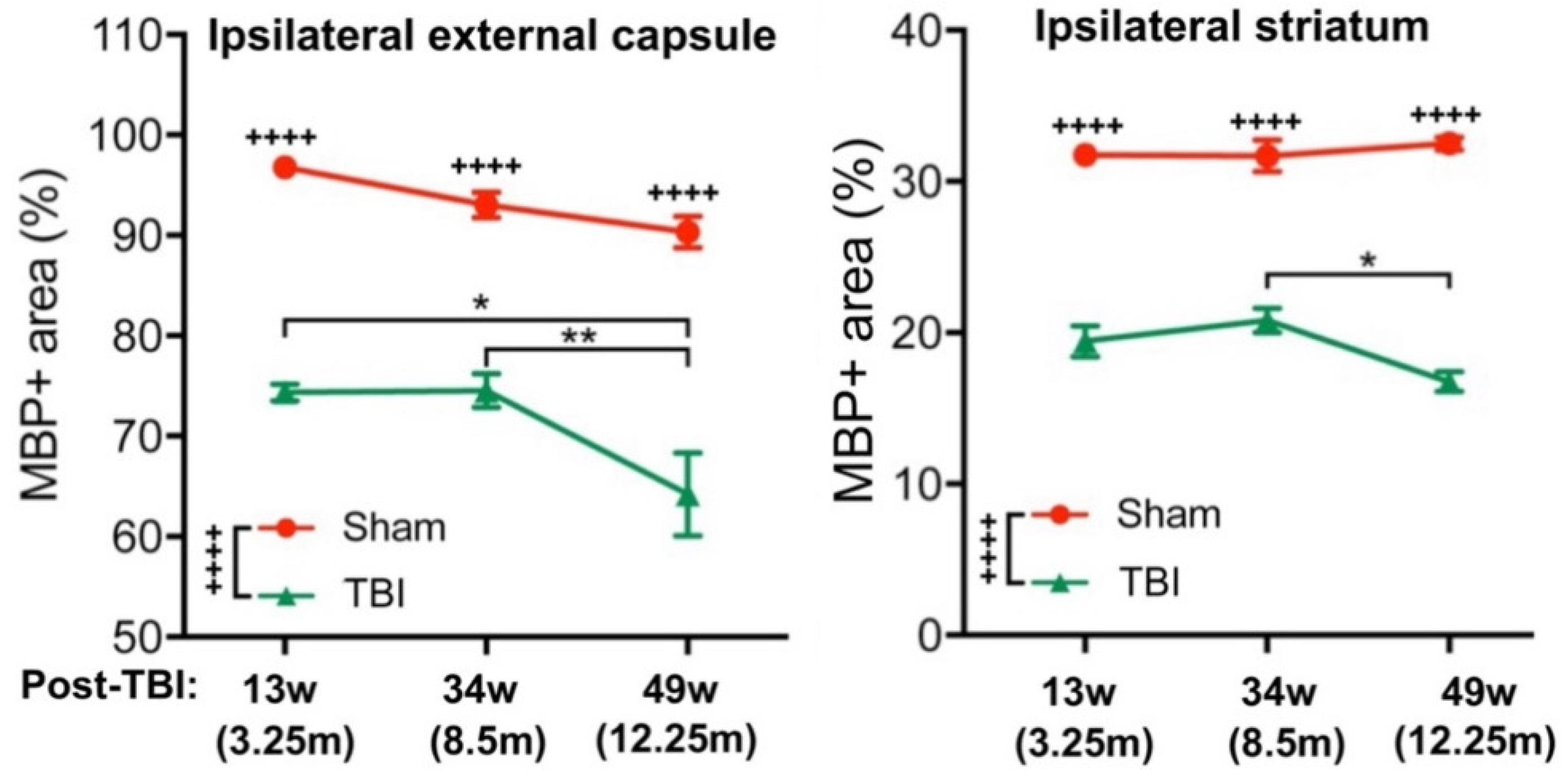 Cells 12 00705 g002 Cells 12 00705 g002