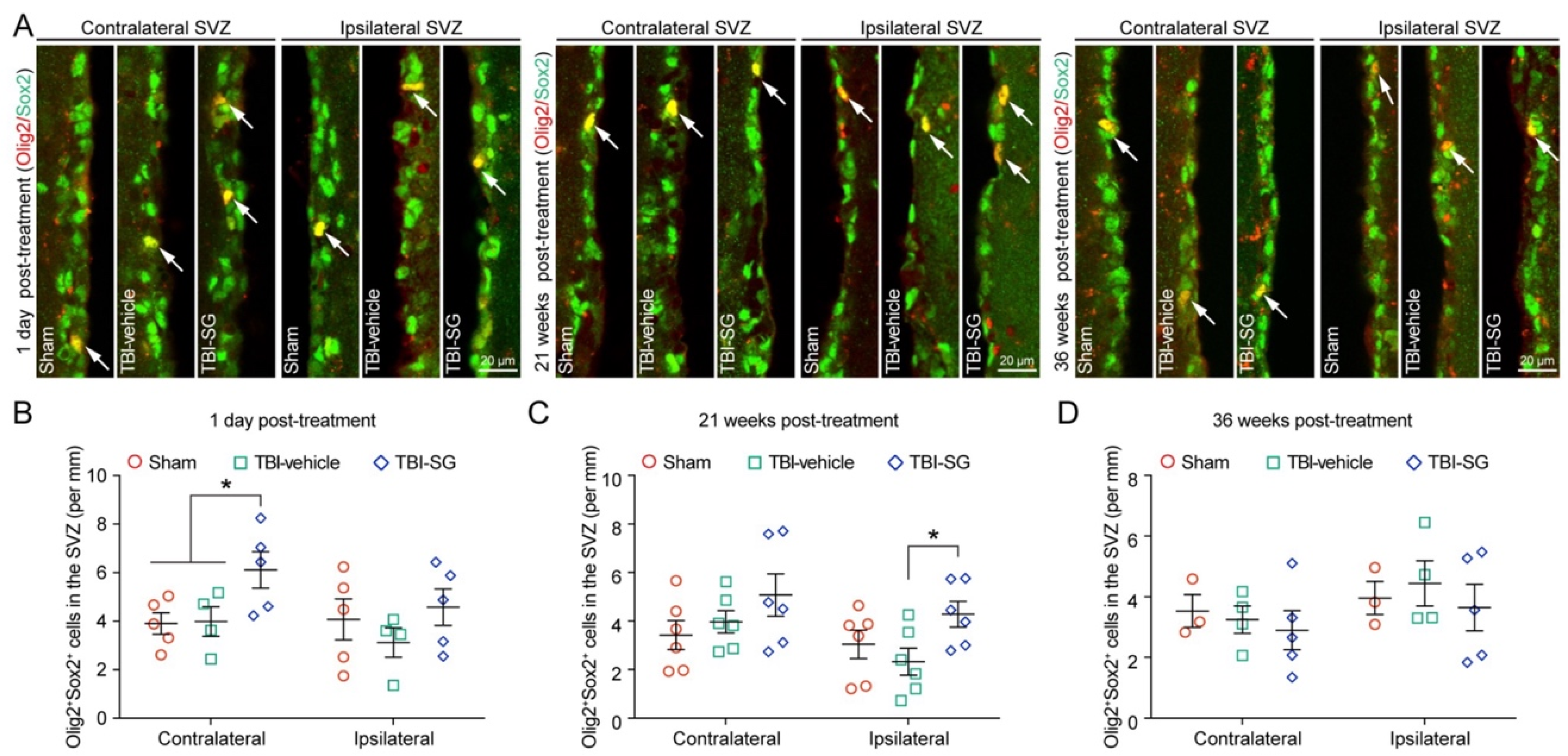 Cells 12 00705 g005 Cells 12 00705 g005