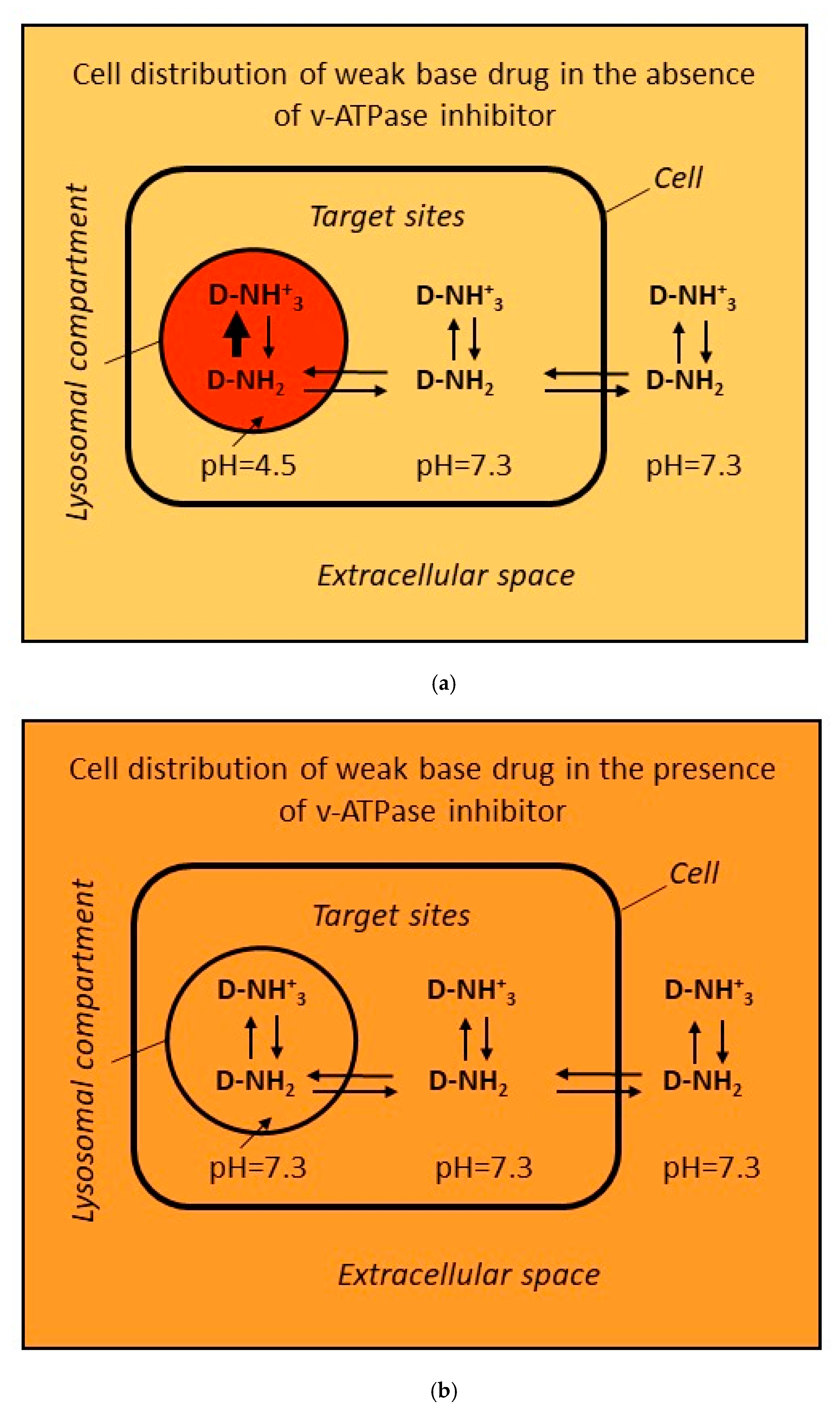 Cells 12 00709 g001a Cells 12 00709 g001a