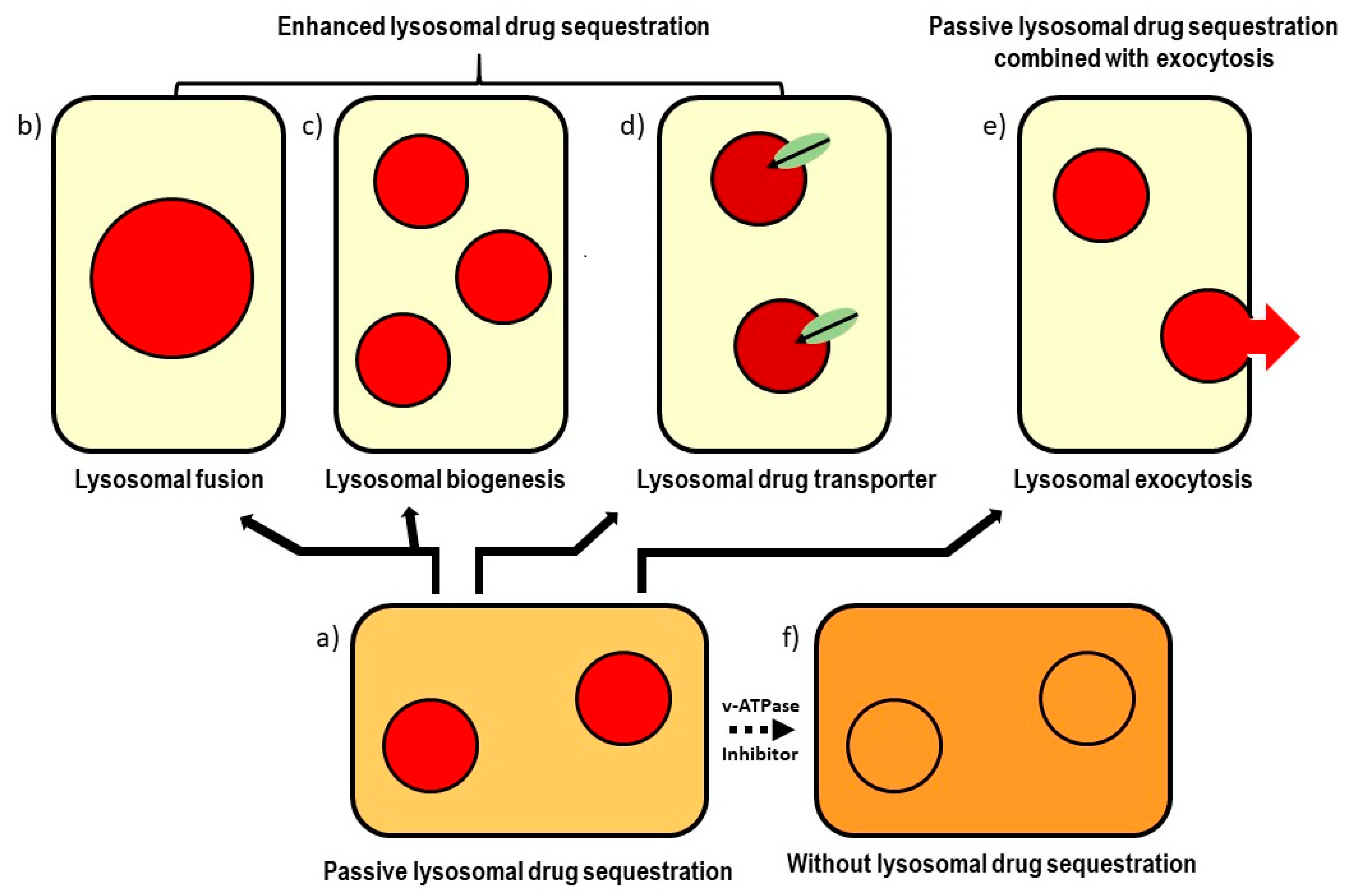 Cells 12 00709 g002 Cells 12 00709 g002