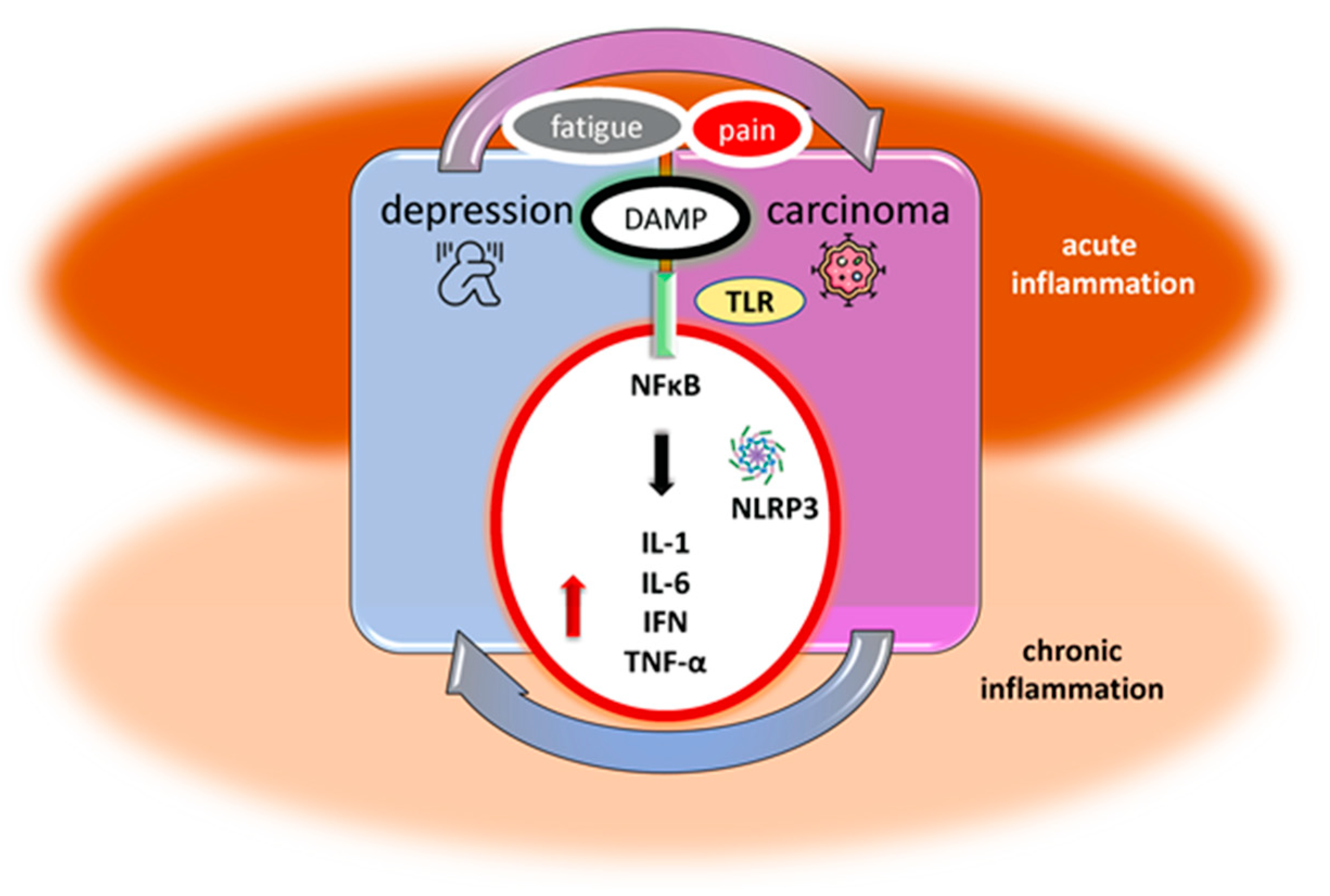 Cells 12 00710 g001 Cells 12 00710 g001