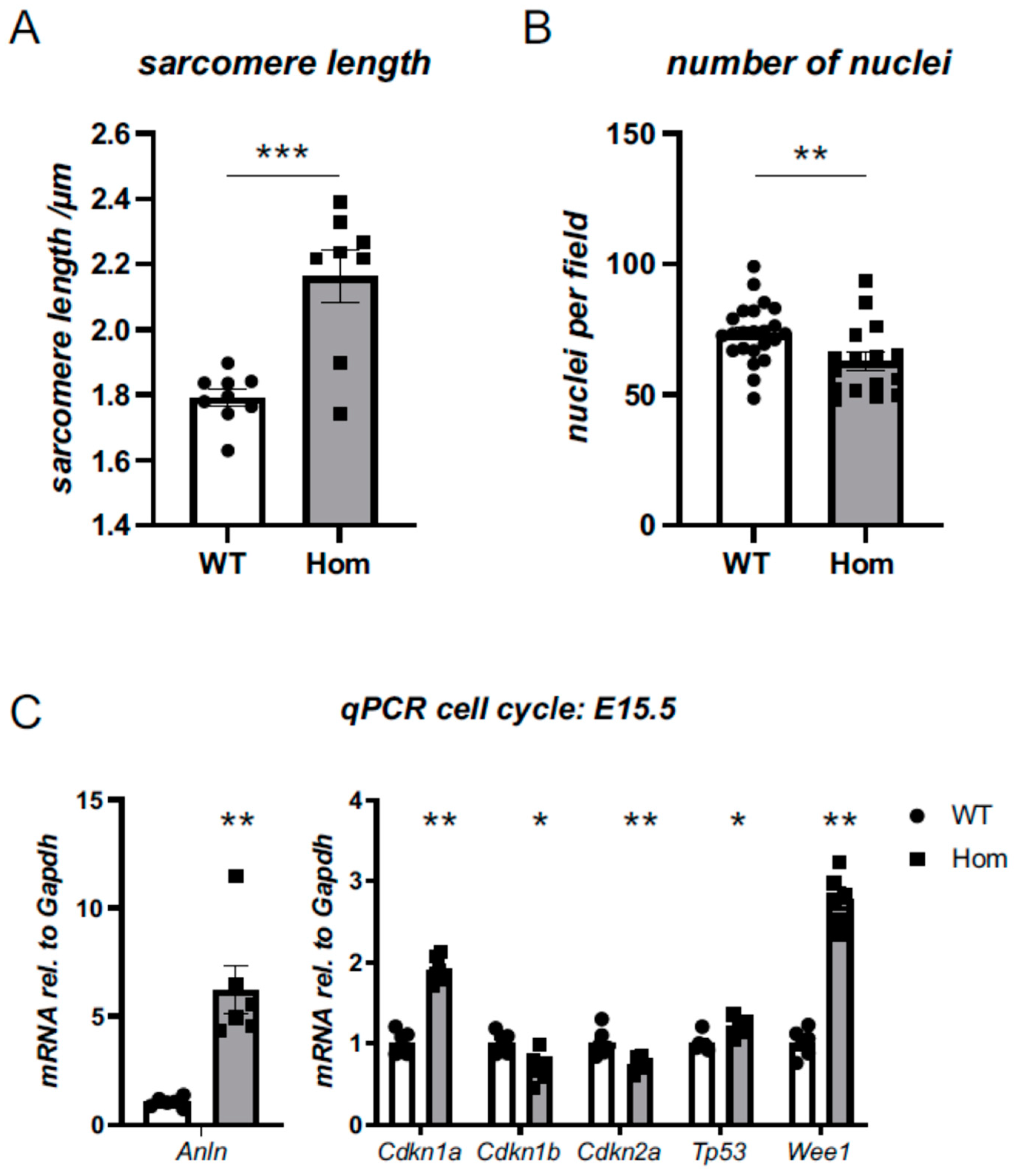 Cells 12 00721 g004 Cells 12 00721 g004