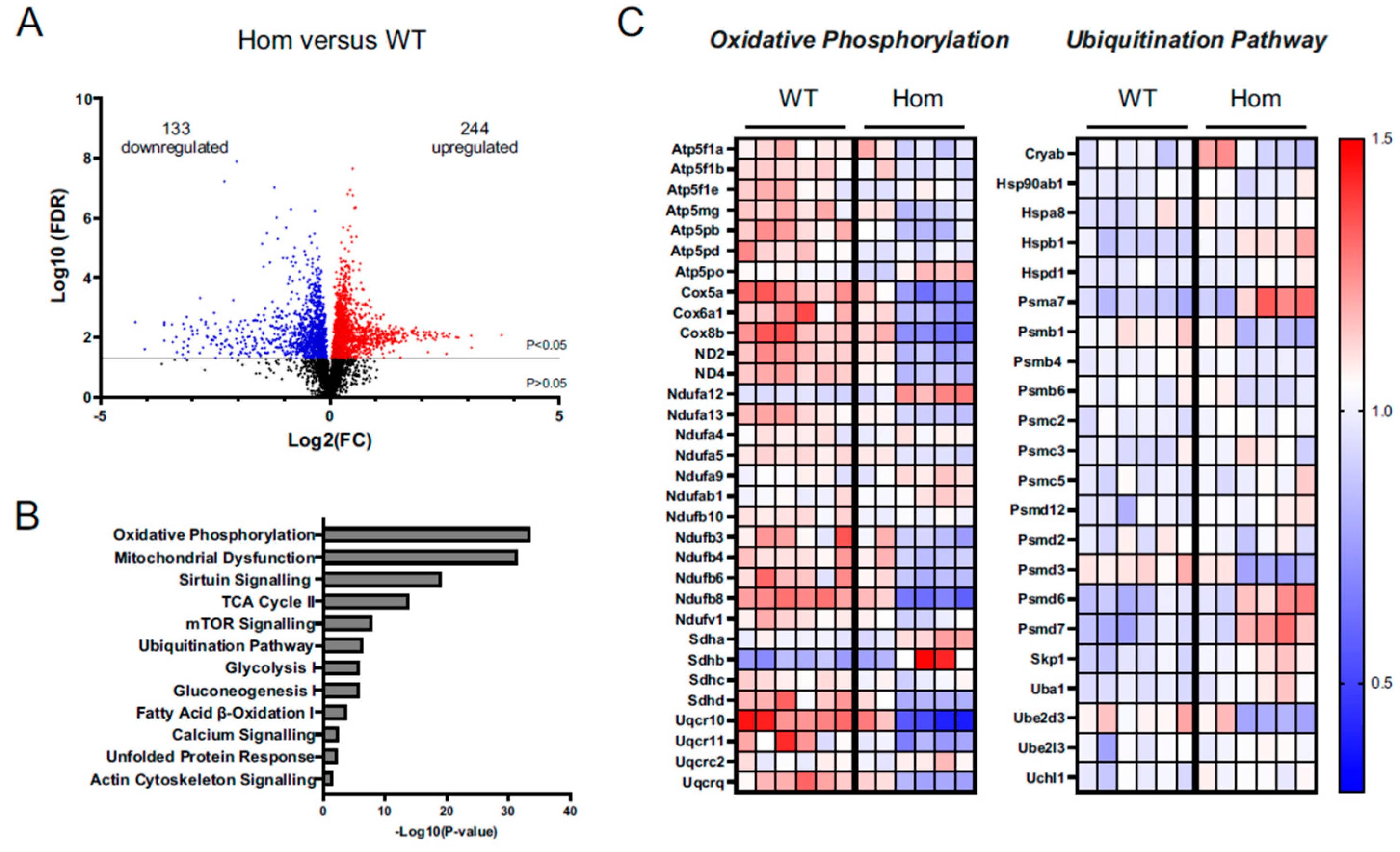 Cells 12 00721 g006 Cells 12 00721 g006