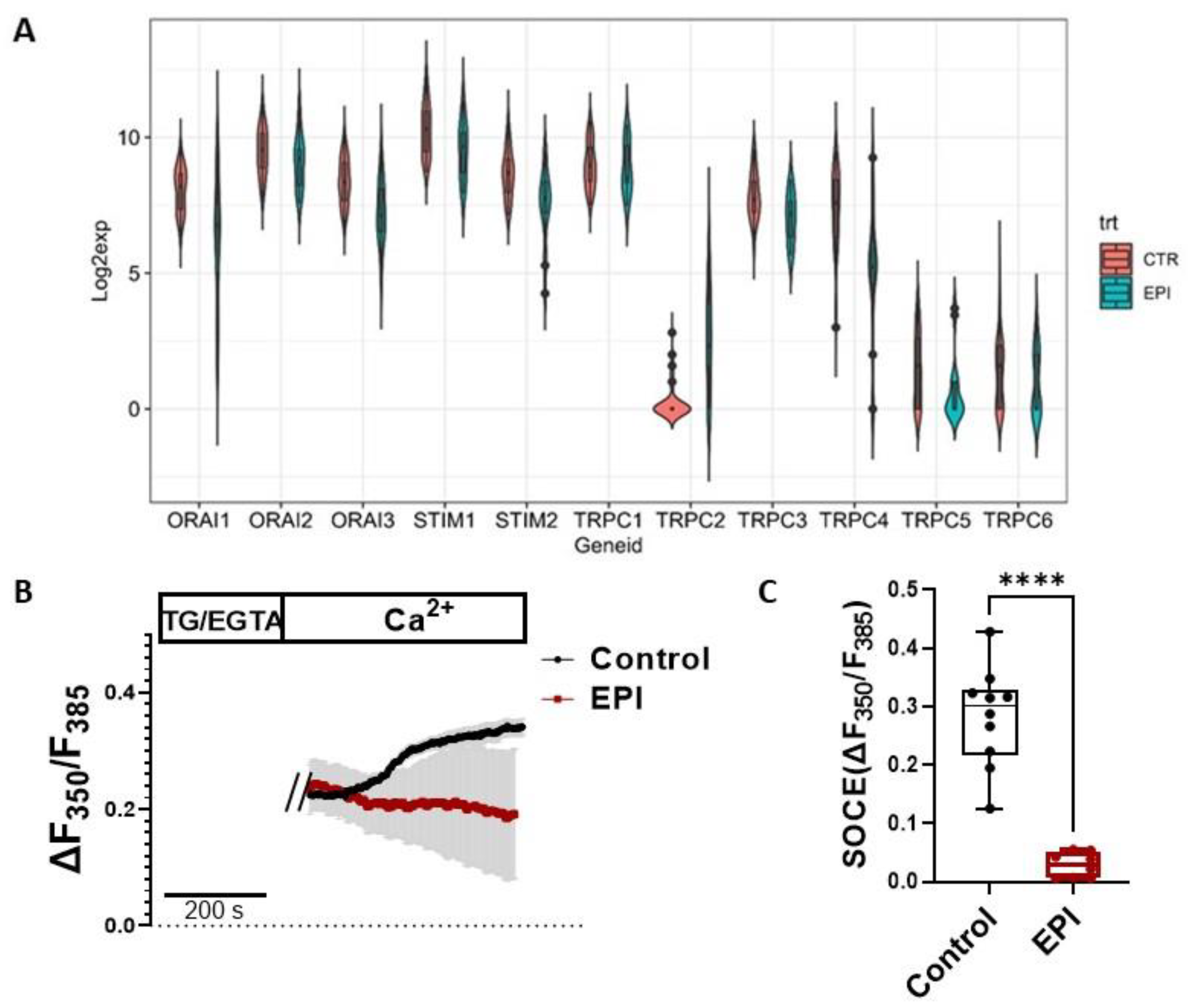 Cells 12 00723 g001 Cells 12 00723 g001