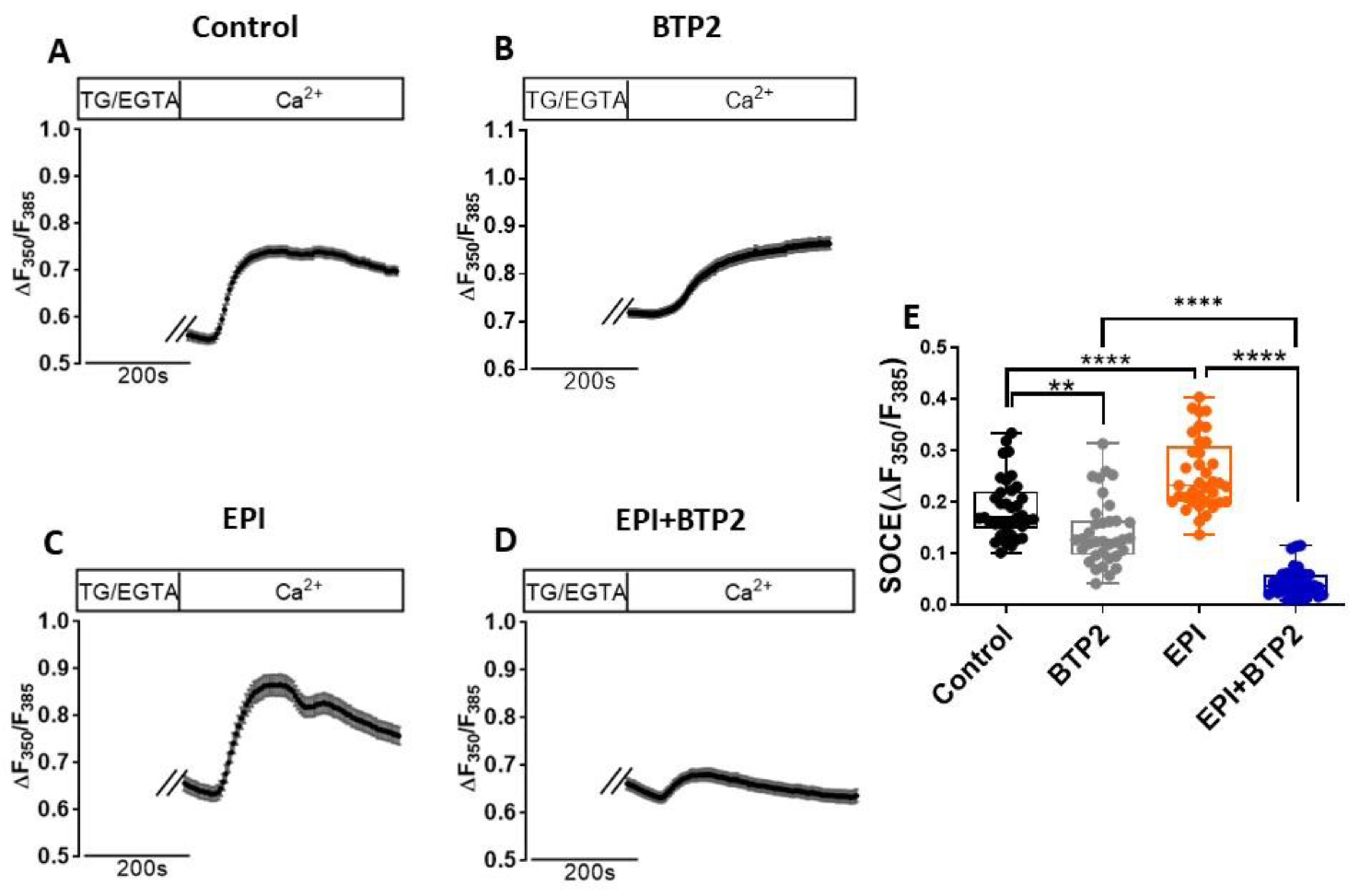 Cells 12 00723 g002 Cells 12 00723 g002