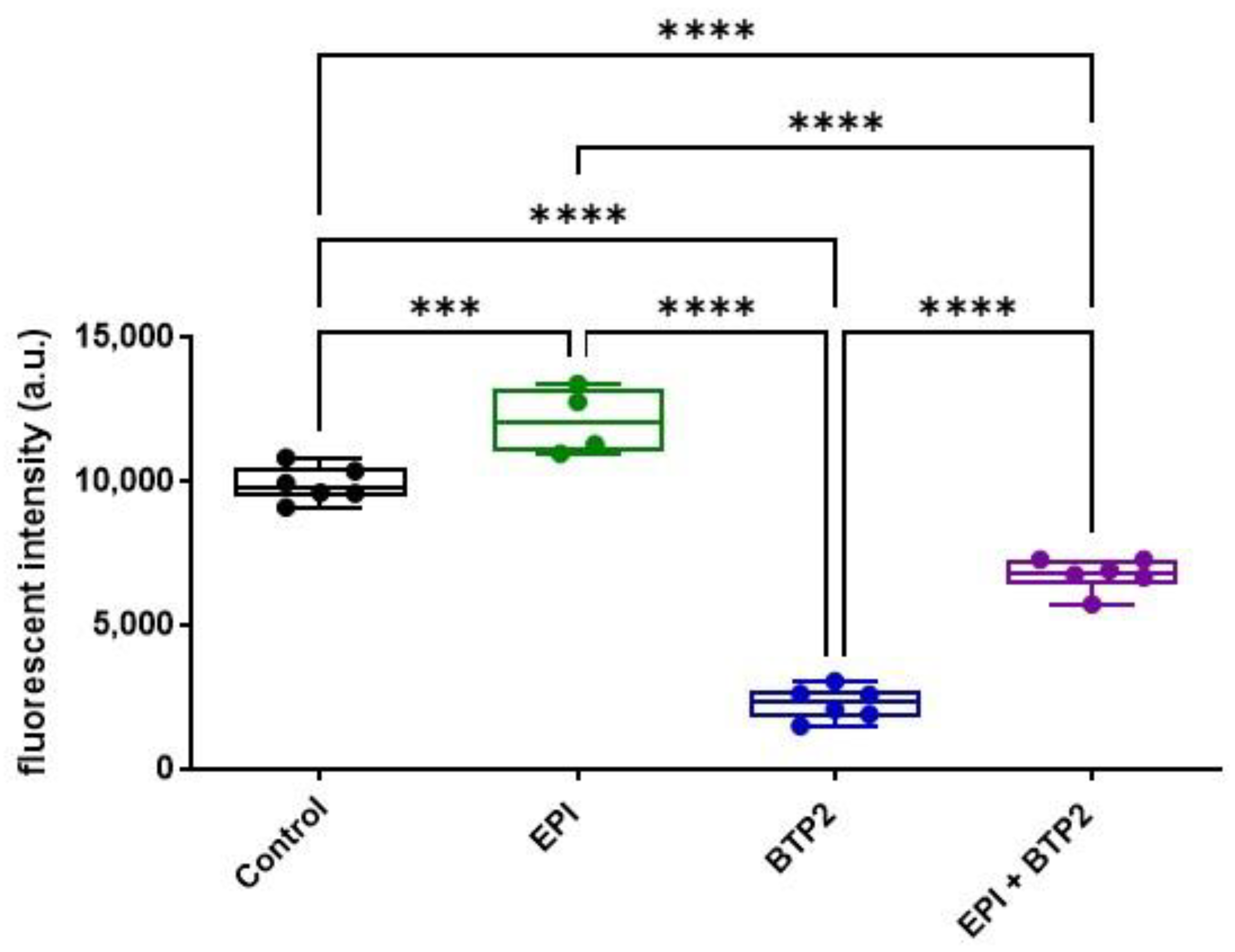 Cells 12 00723 g003 Cells 12 00723 g003