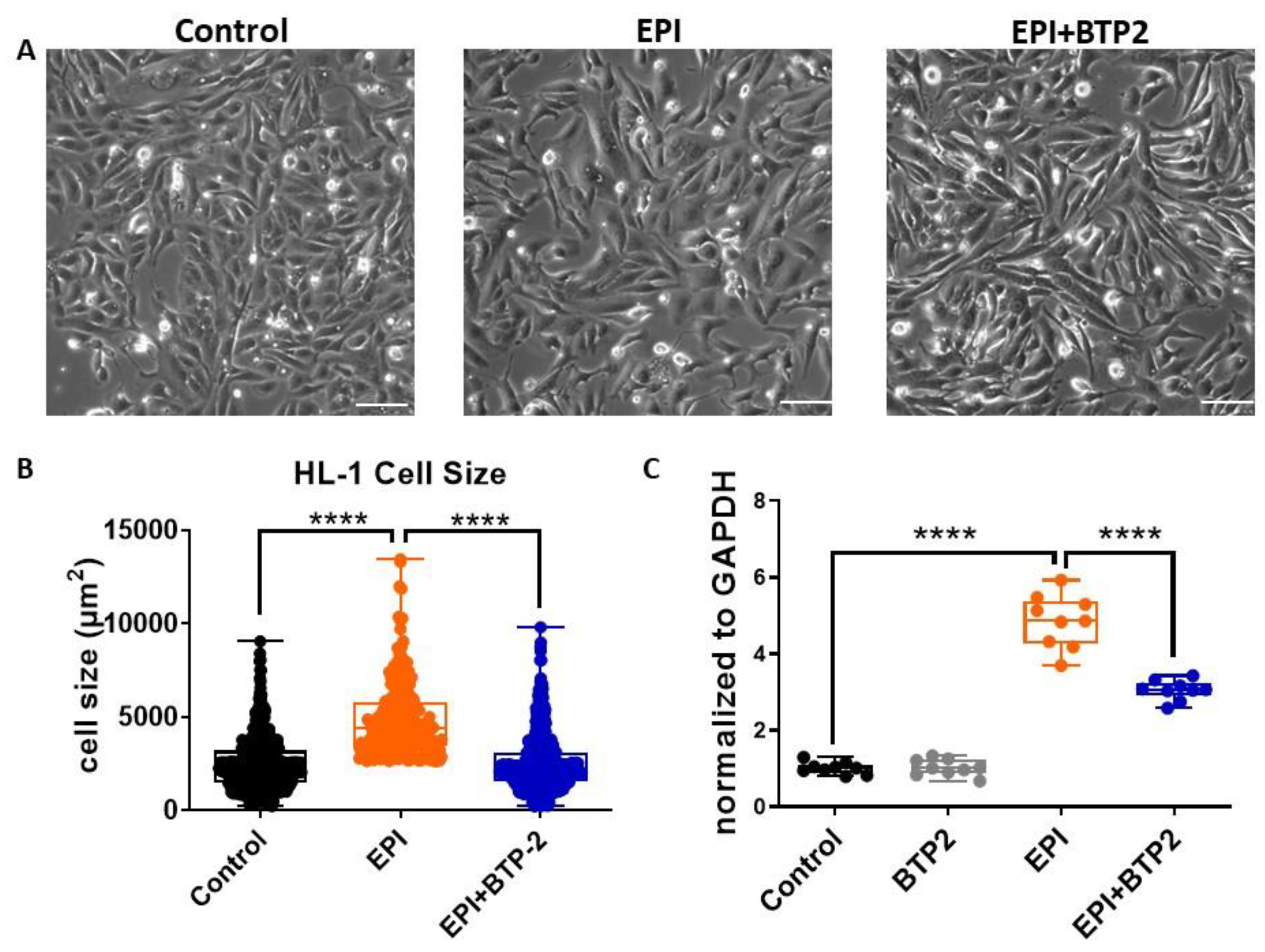 Cells 12 00723 g005 Cells 12 00723 g005