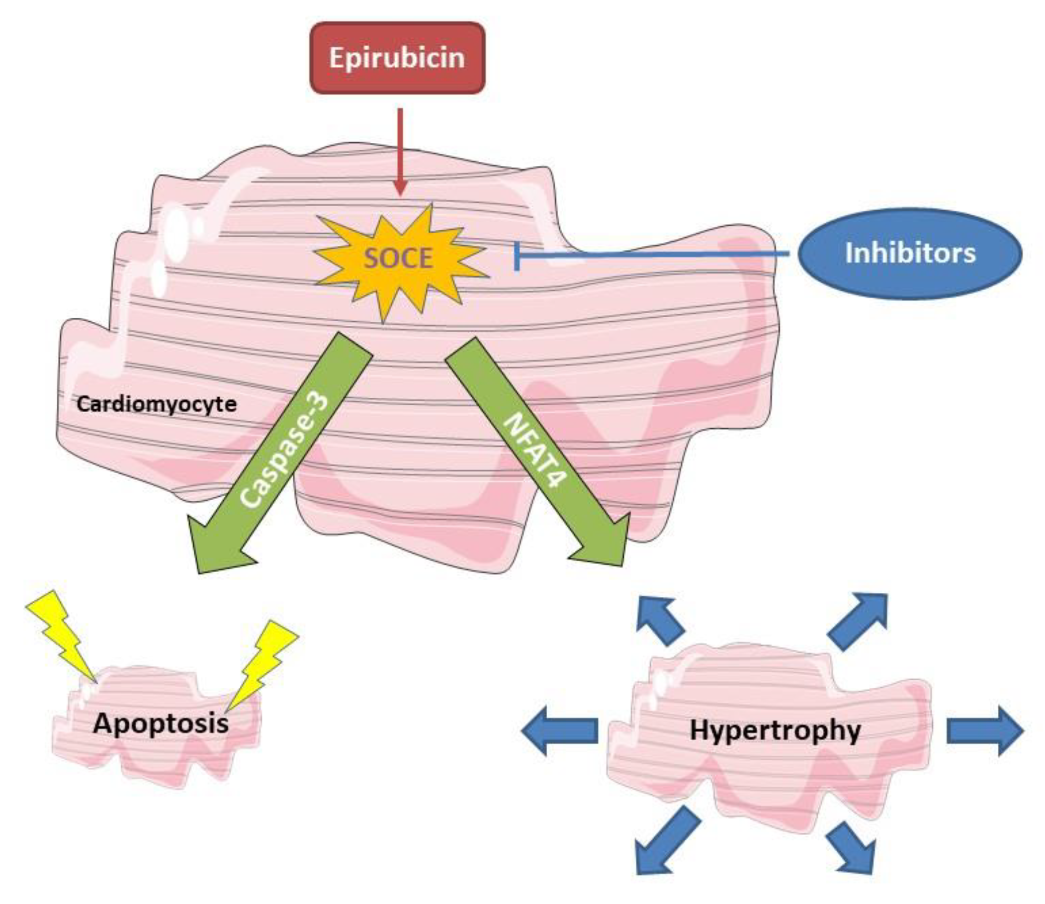 Cells 12 00723 g007 Cells 12 00723 g007
