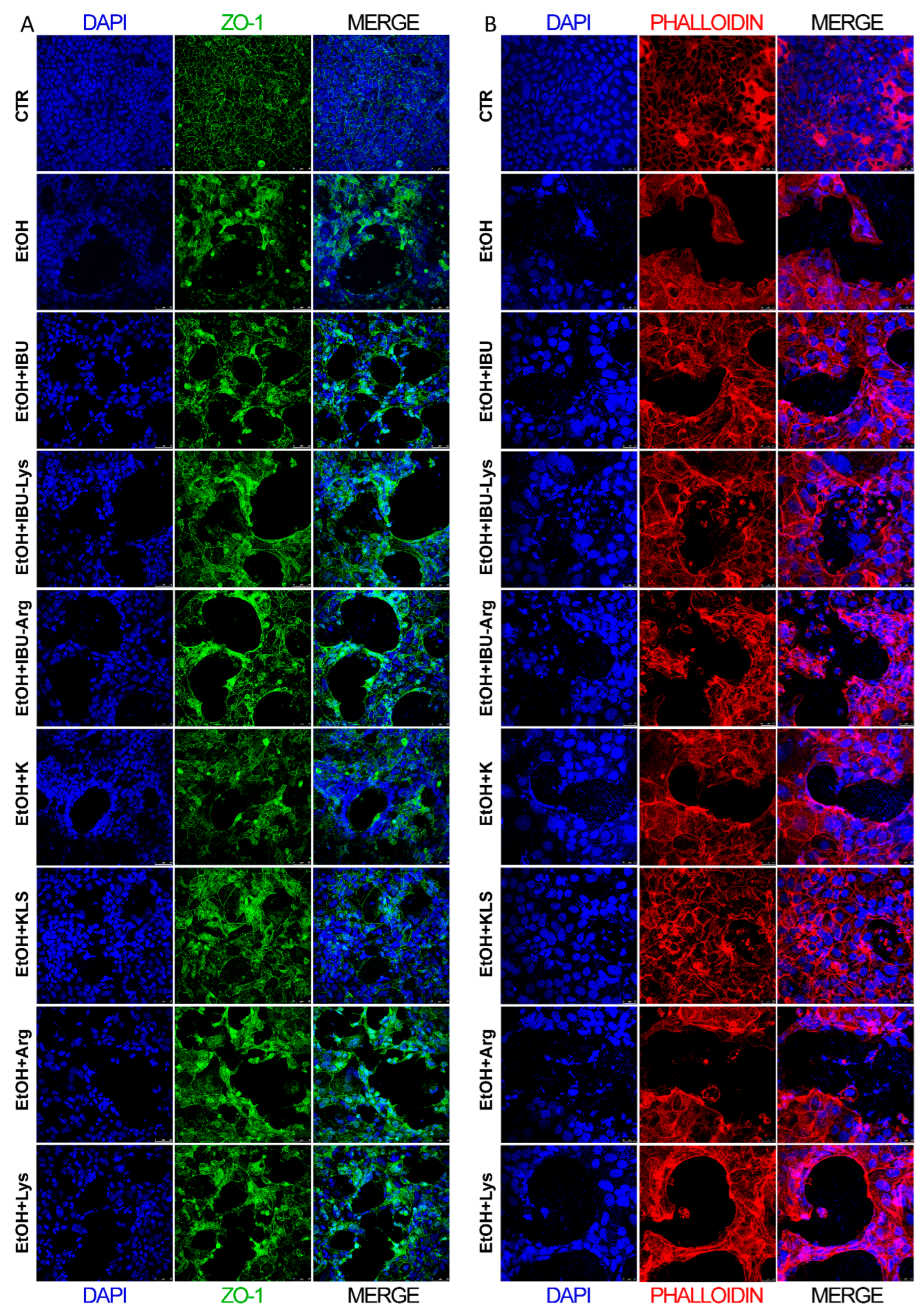 Cells 12 00728 g002 Cells 12 00728 g002