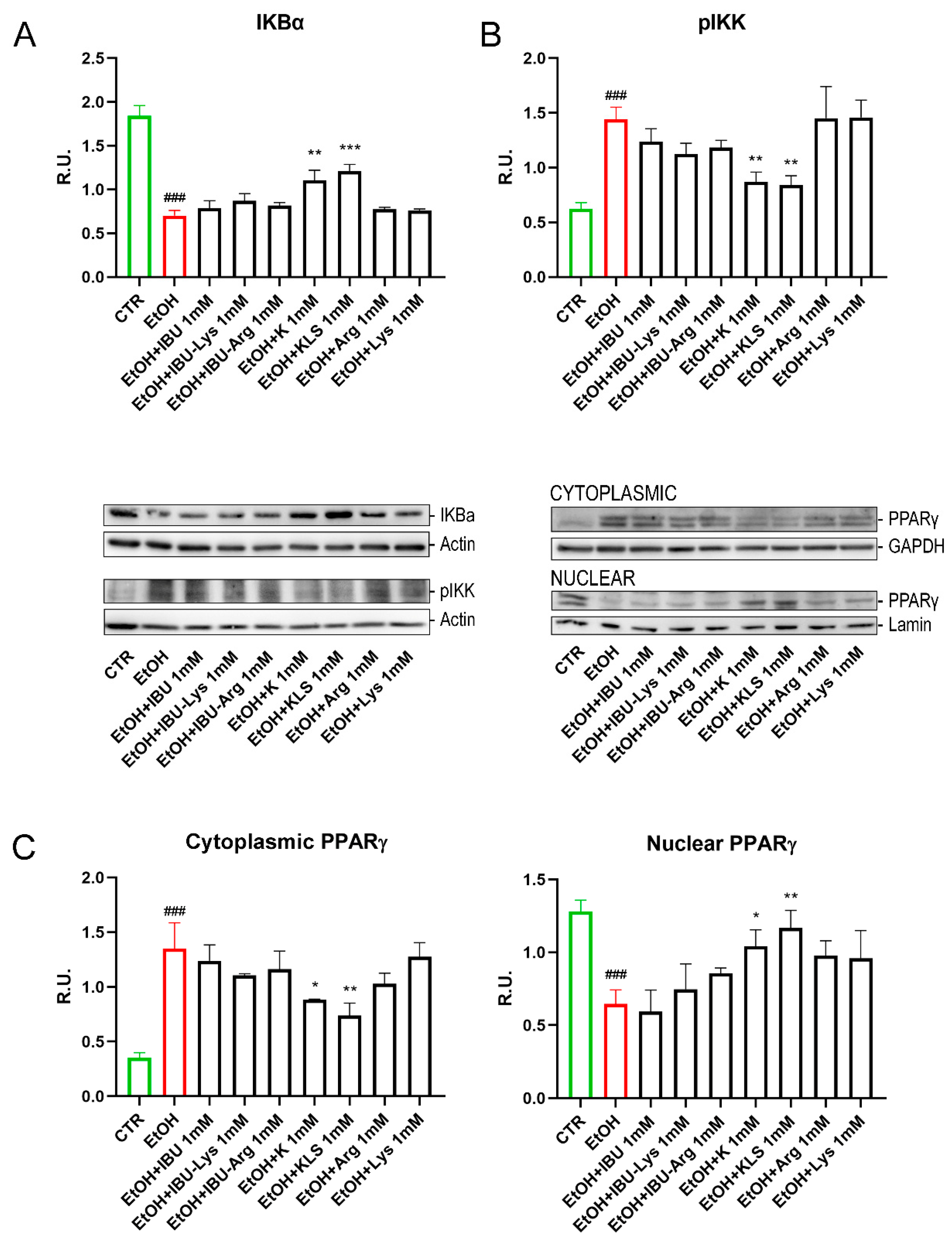 Cells 12 00728 g004 Cells 12 00728 g004