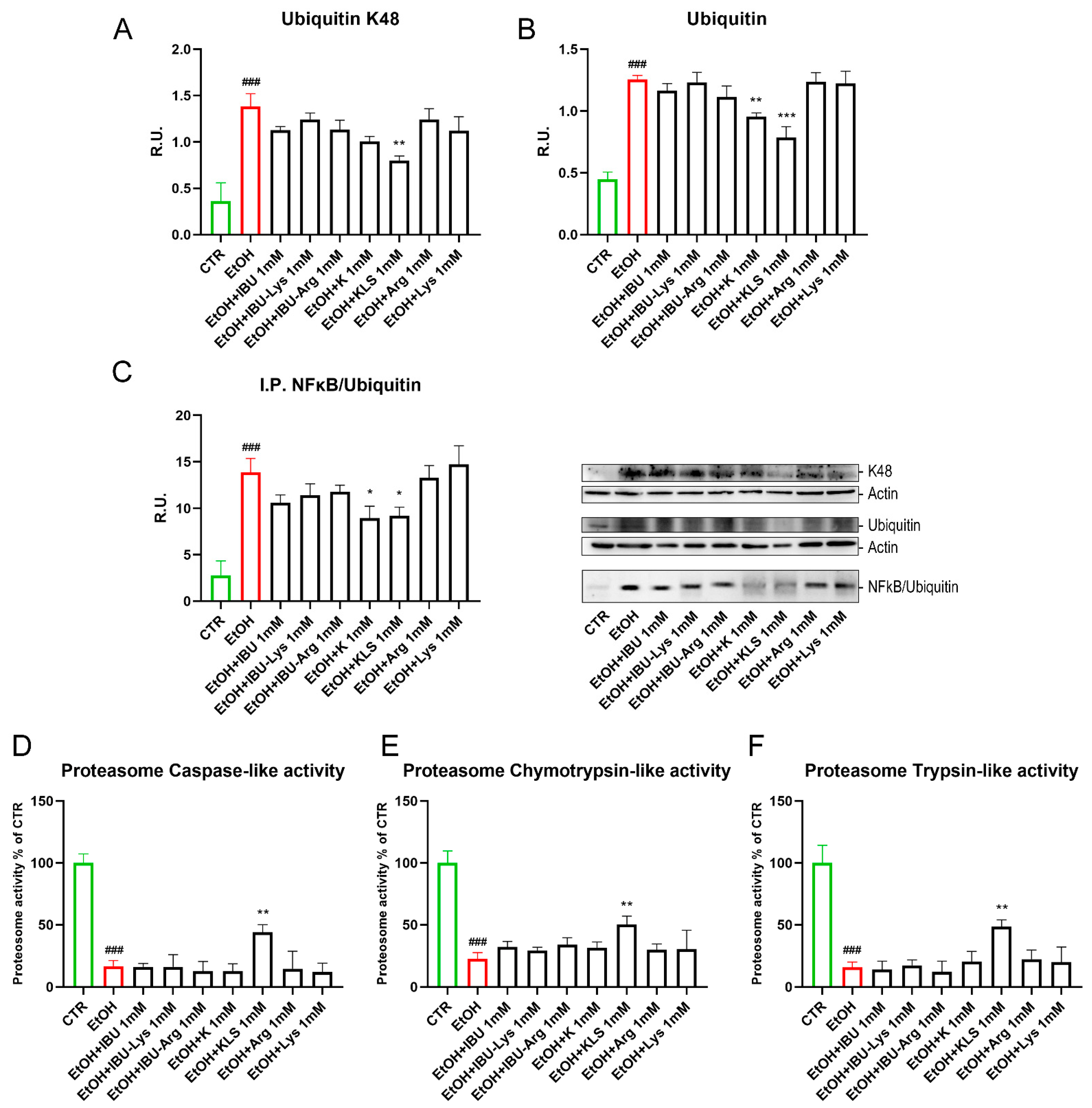 Cells 12 00728 g006 Cells 12 00728 g006