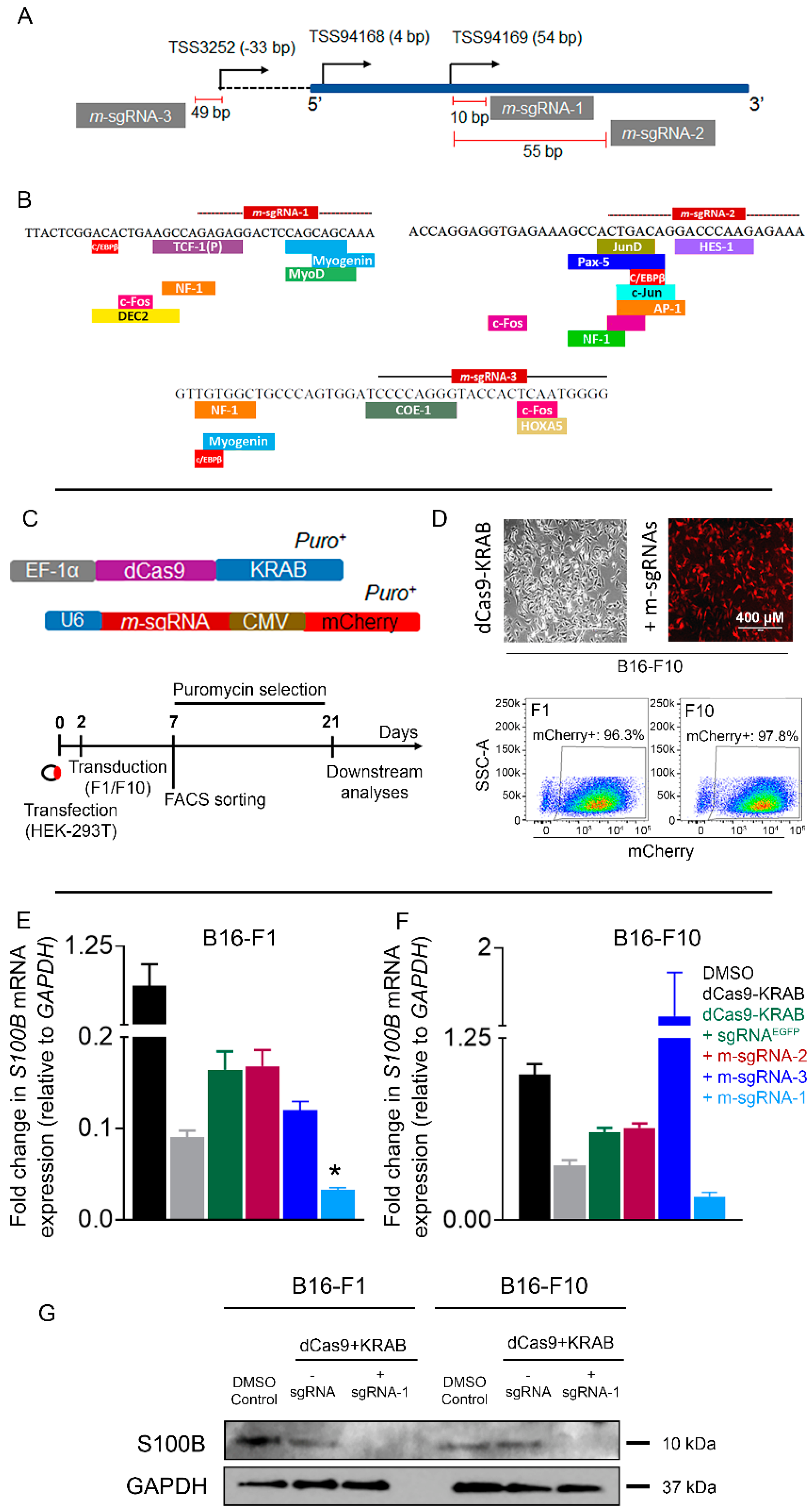 Cells 12 00730 g002 Cells 12 00730 g002