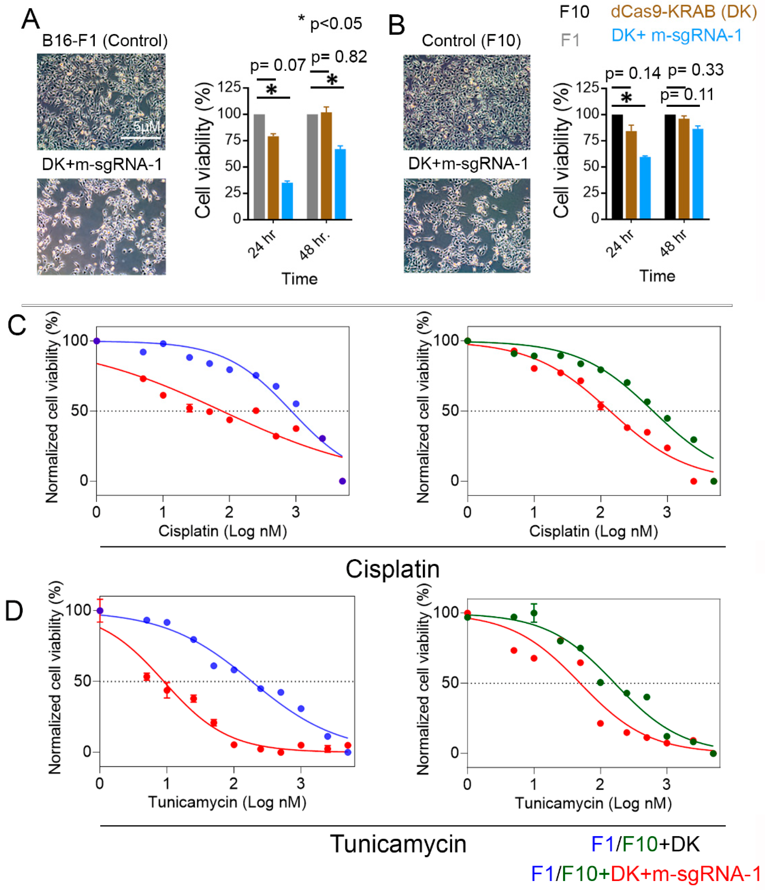 Cells 12 00730 g005 Cells 12 00730 g005