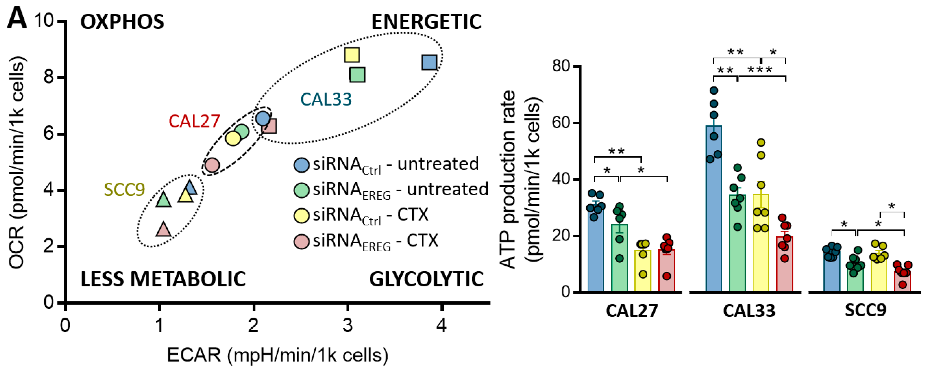 Cells 12 00733 g002a