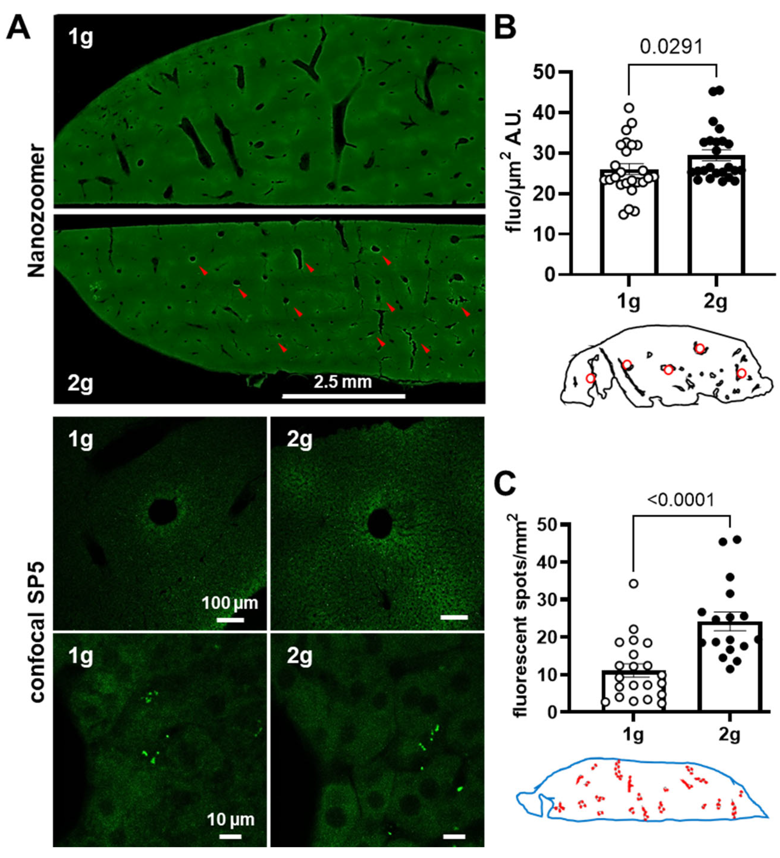 Cells 12 00734 g004 Cells 12 00734 g004