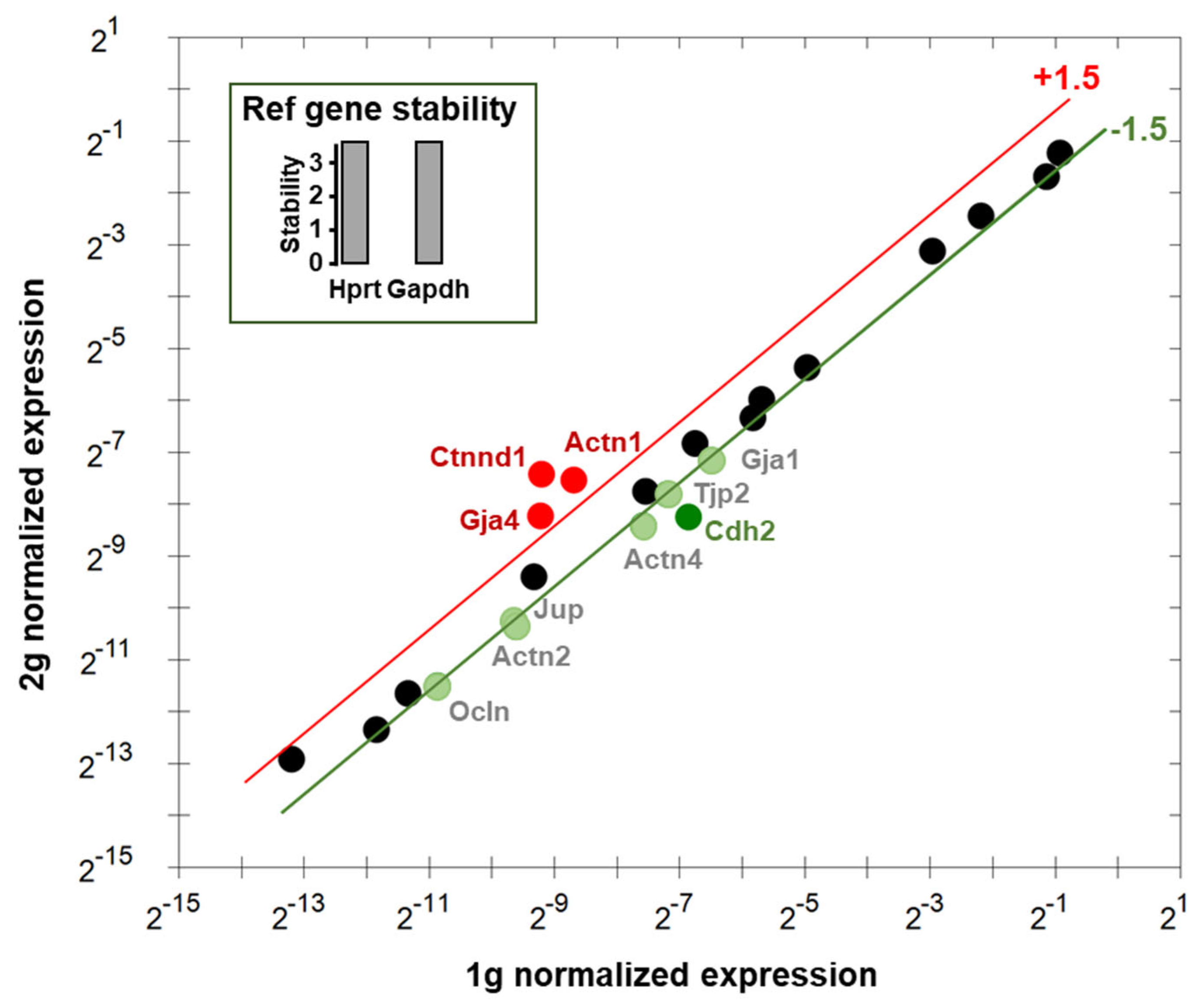 Cells 12 00734 g007 Cells 12 00734 g007