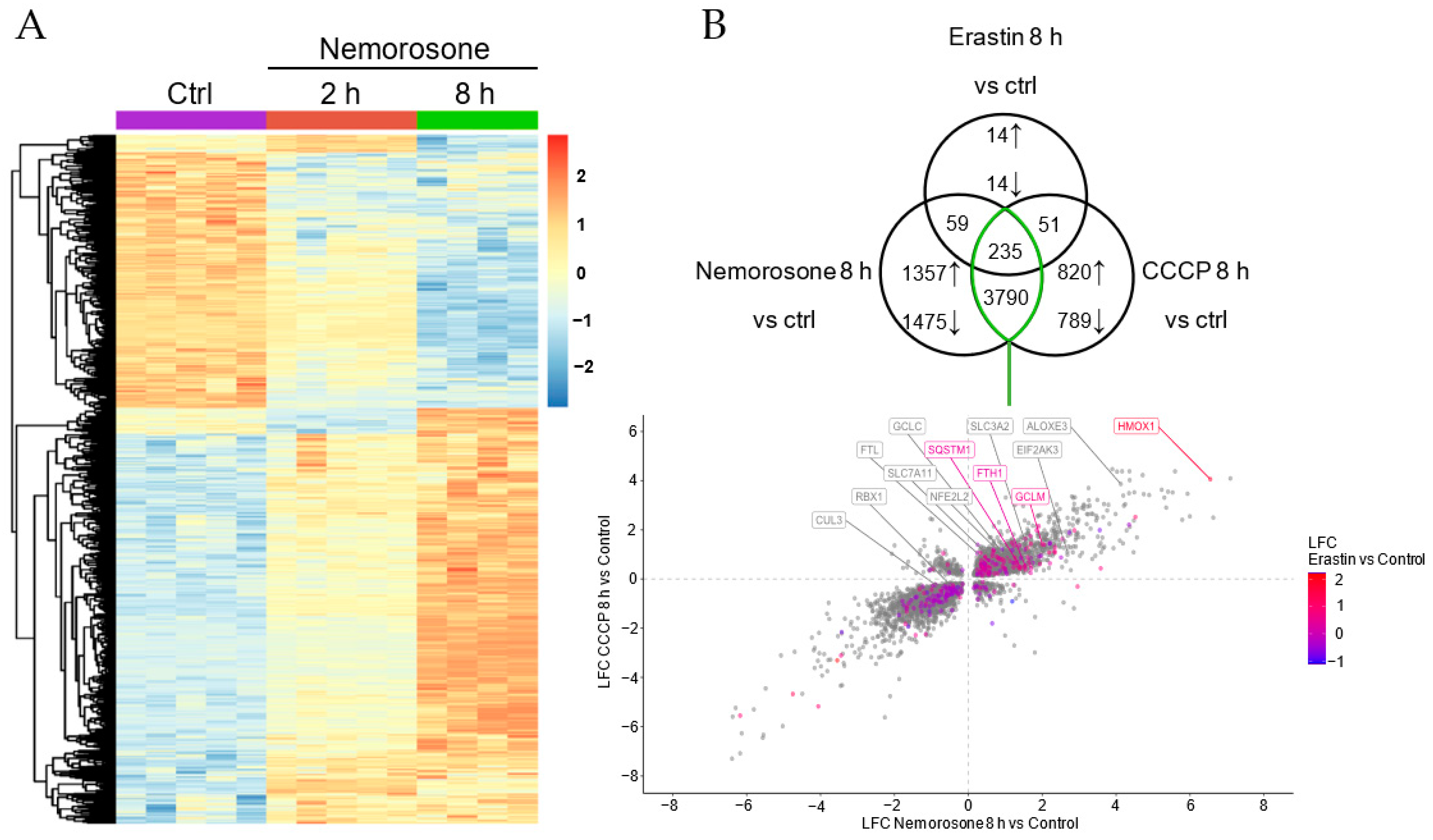 Cells 12 00735 g004a