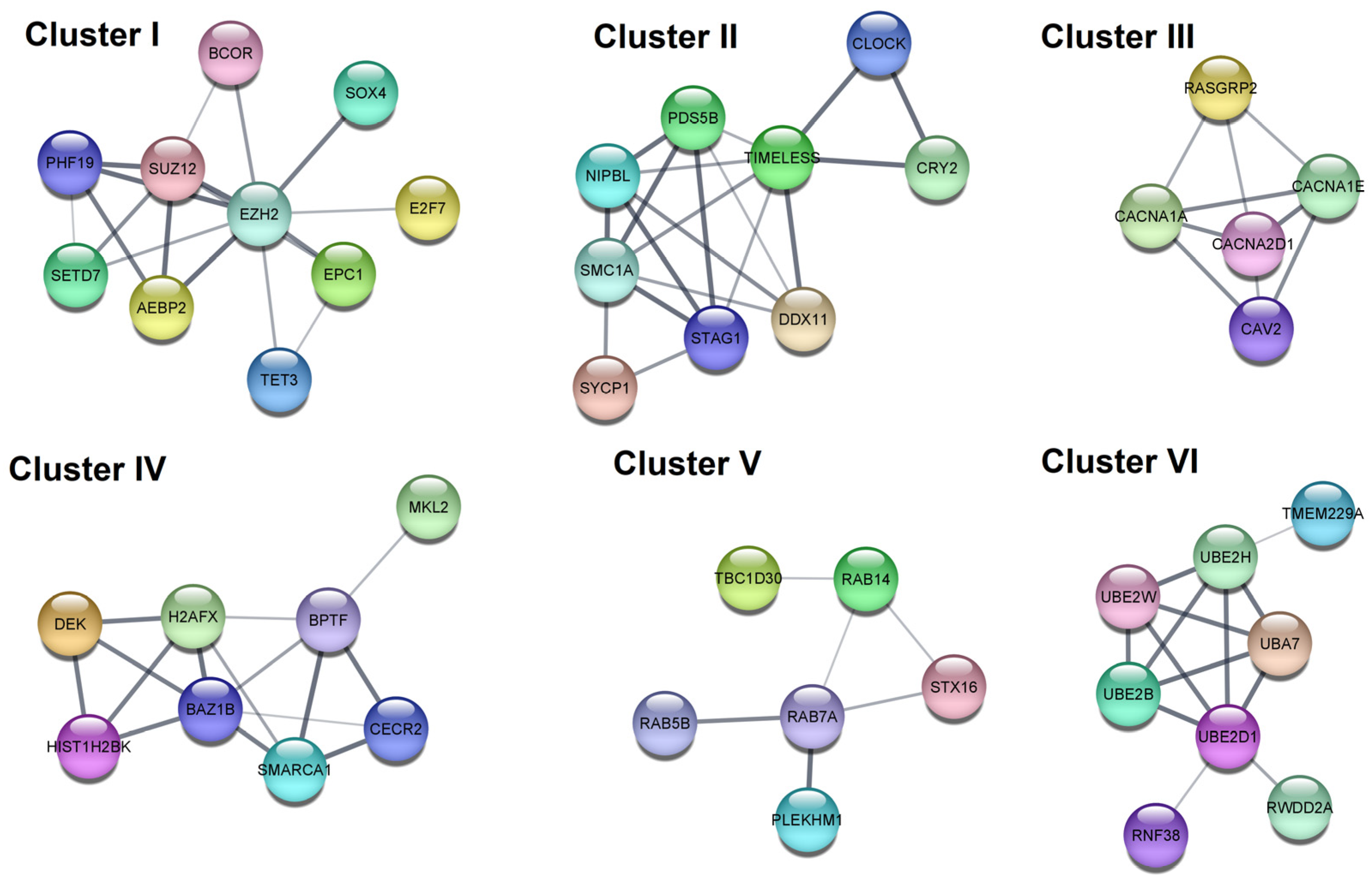 Cells | Free Full-Text | Twenty Novel MicroRNAs in the Aqueous Humor of ...