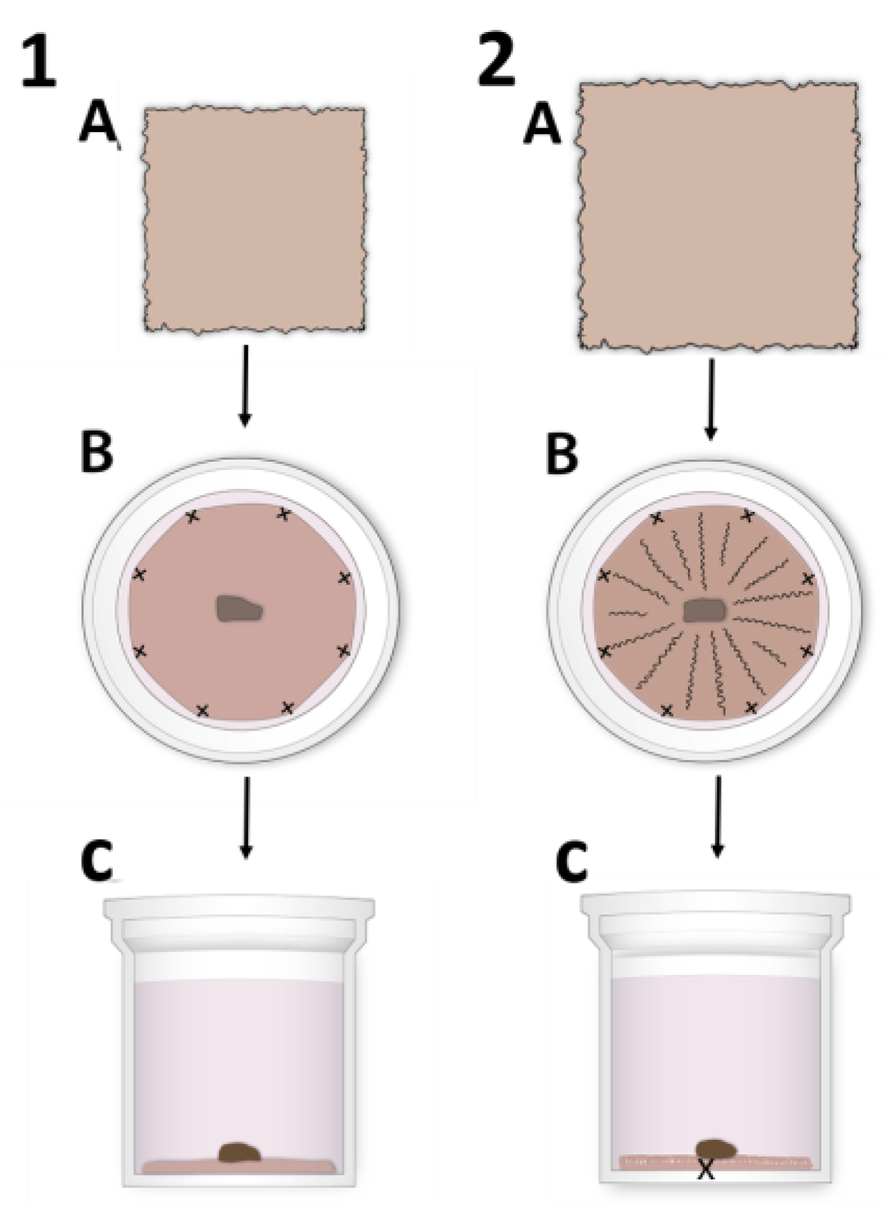 Cells 12 00738 g001 Cells 12 00738 g001