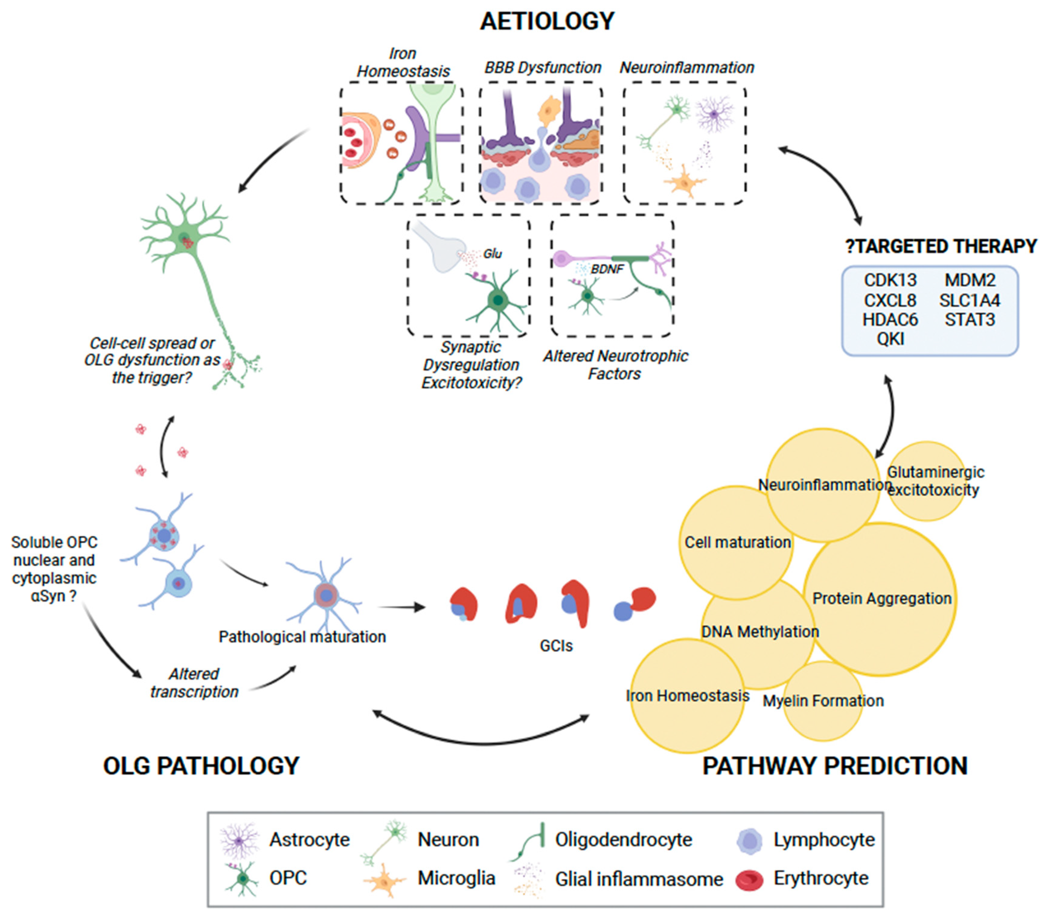 Cells 12 00739 g002 Cells 12 00739 g002