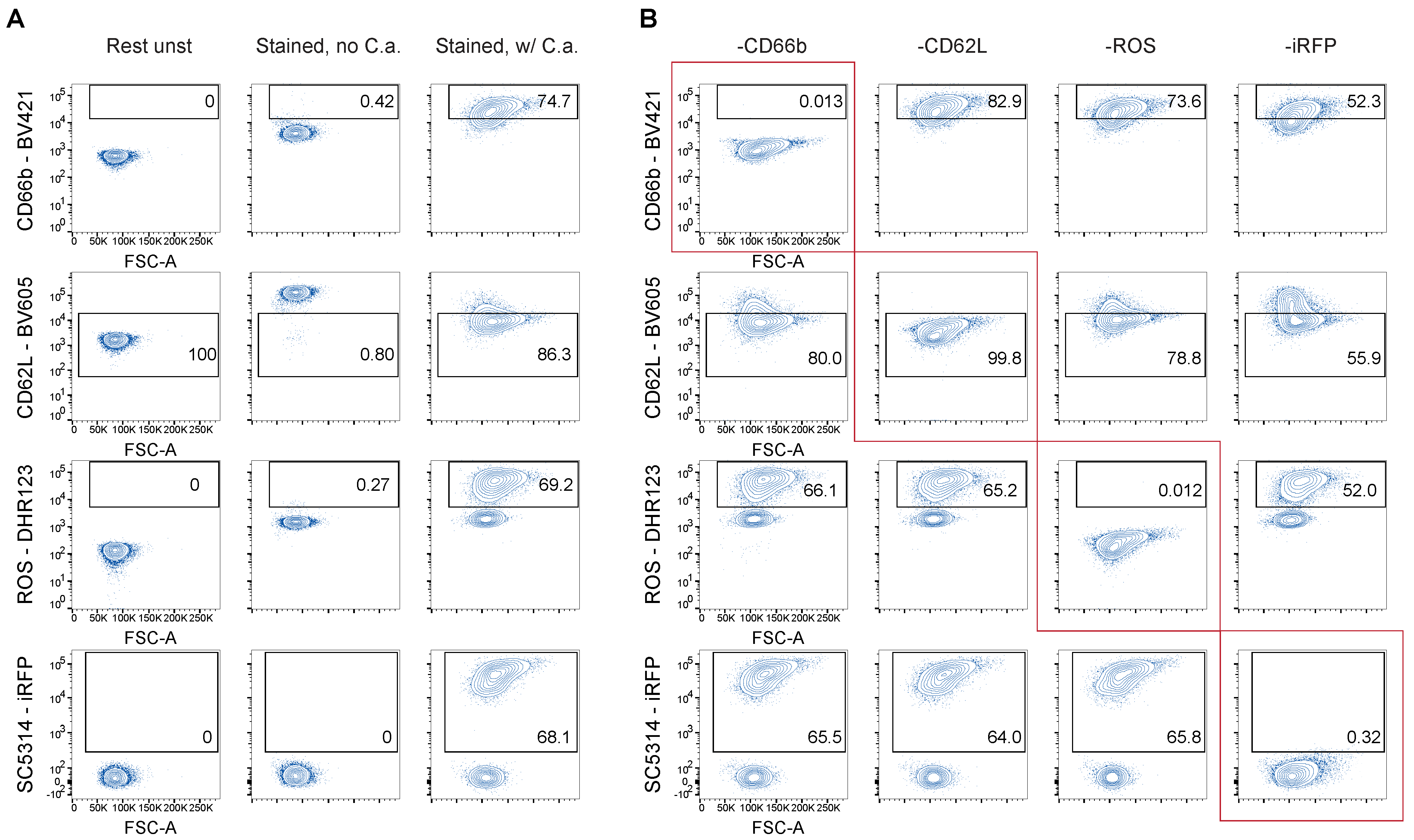 Cells 12 00743 g004 Cells 12 00743 g004
