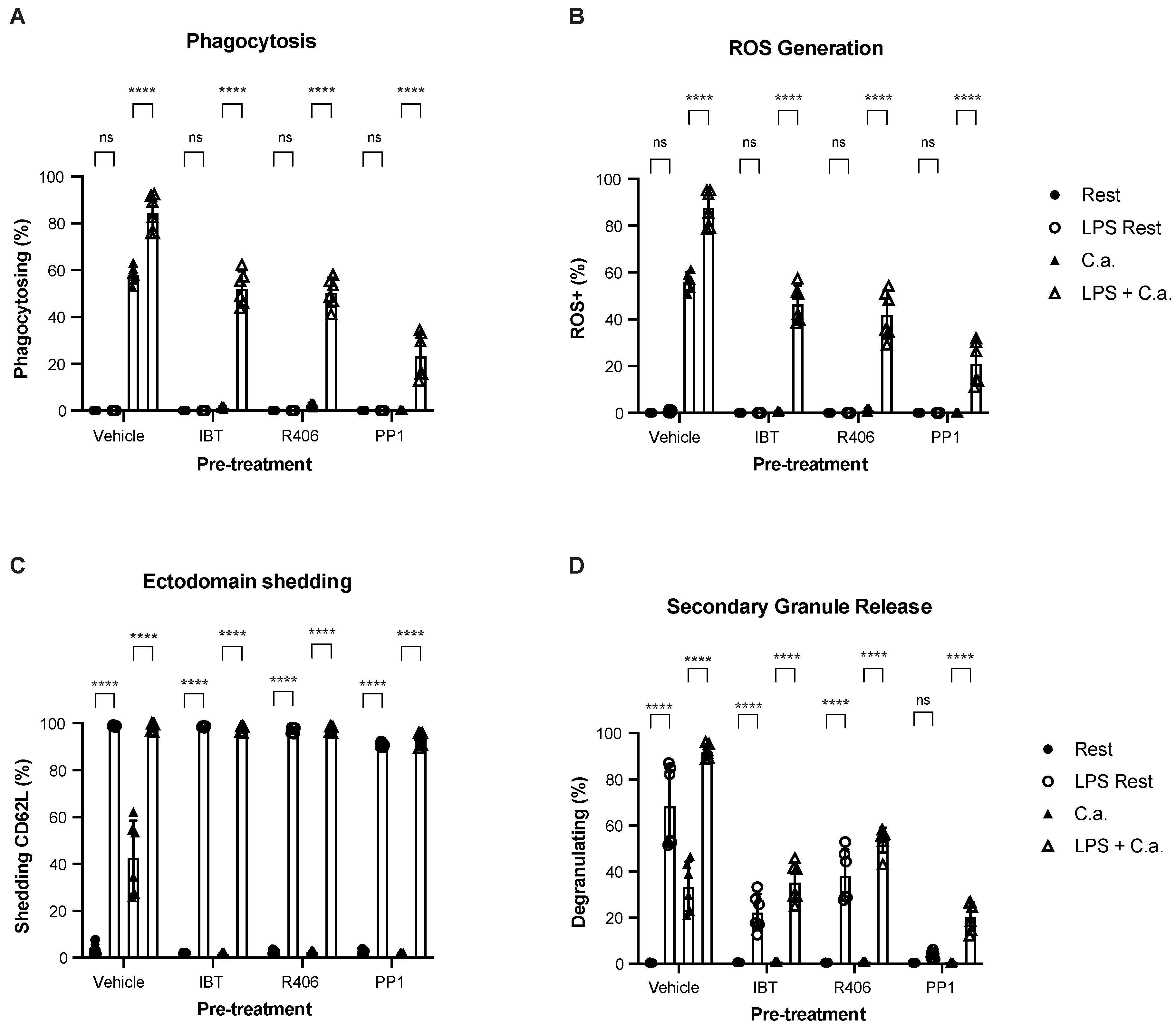 Cells 12 00743 g007 Cells 12 00743 g007