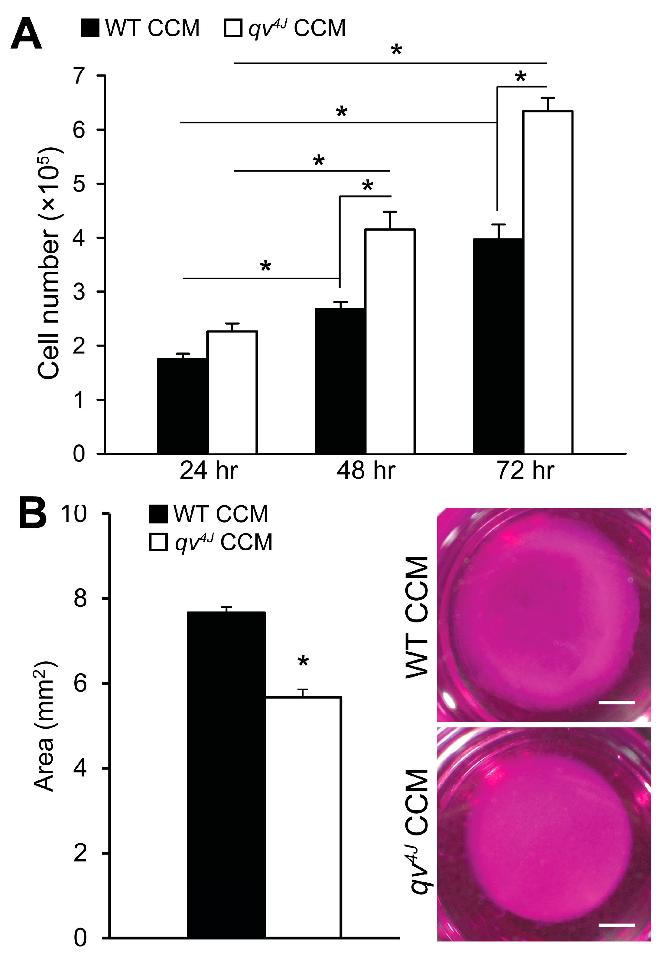 Cells 12 00748 g001 Cells 12 00748 g001