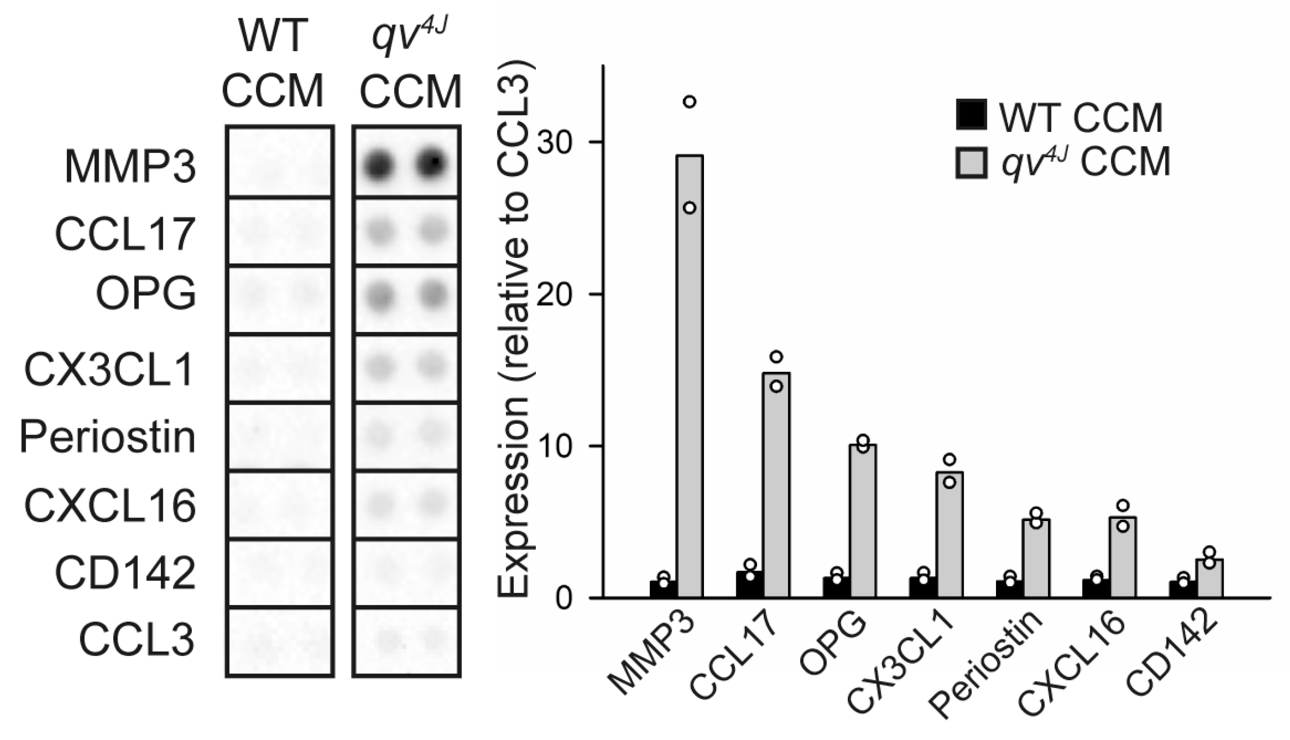 Cells 12 00748 g003 Cells 12 00748 g003