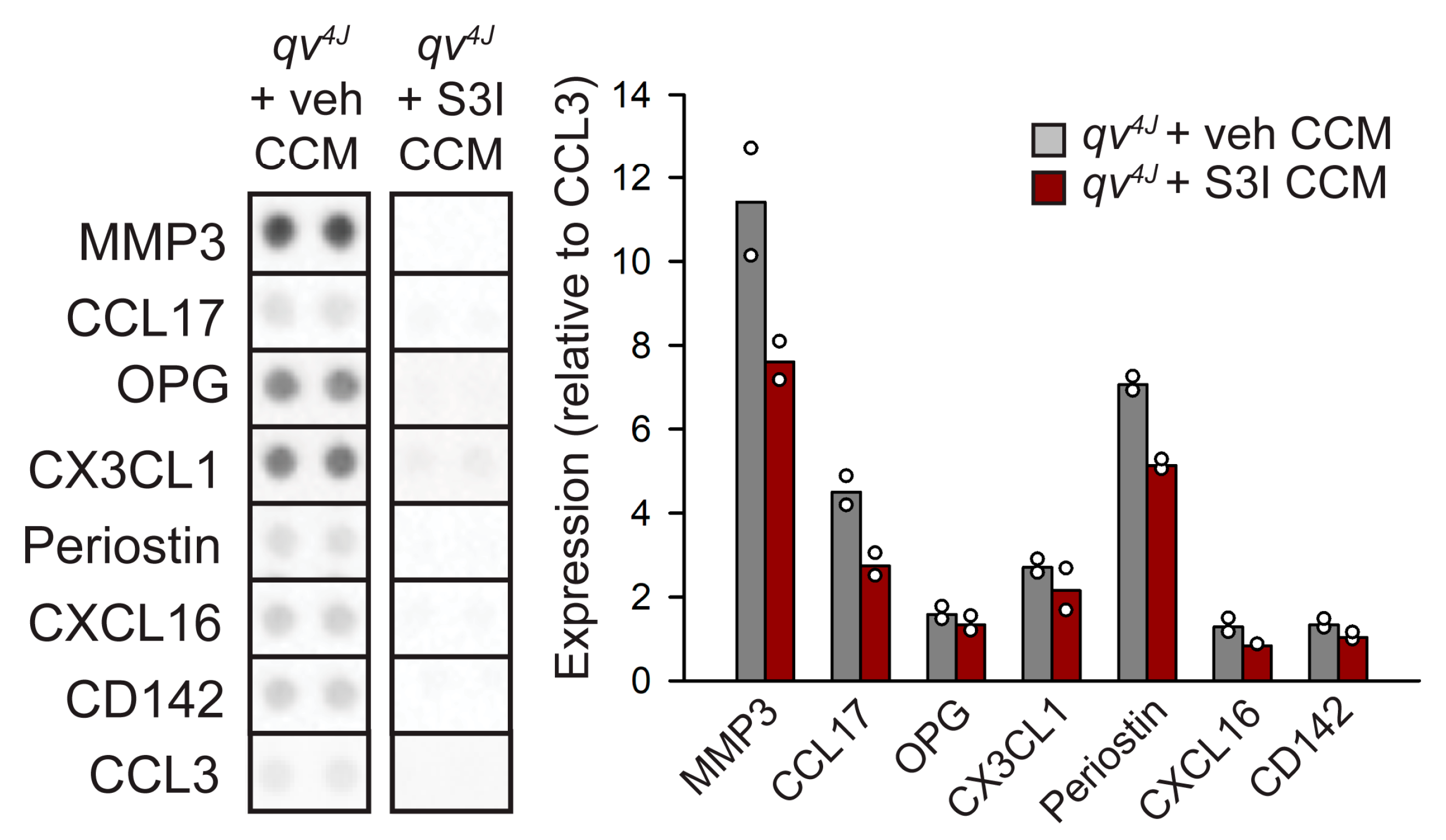Cells 12 00748 g005 Cells 12 00748 g005