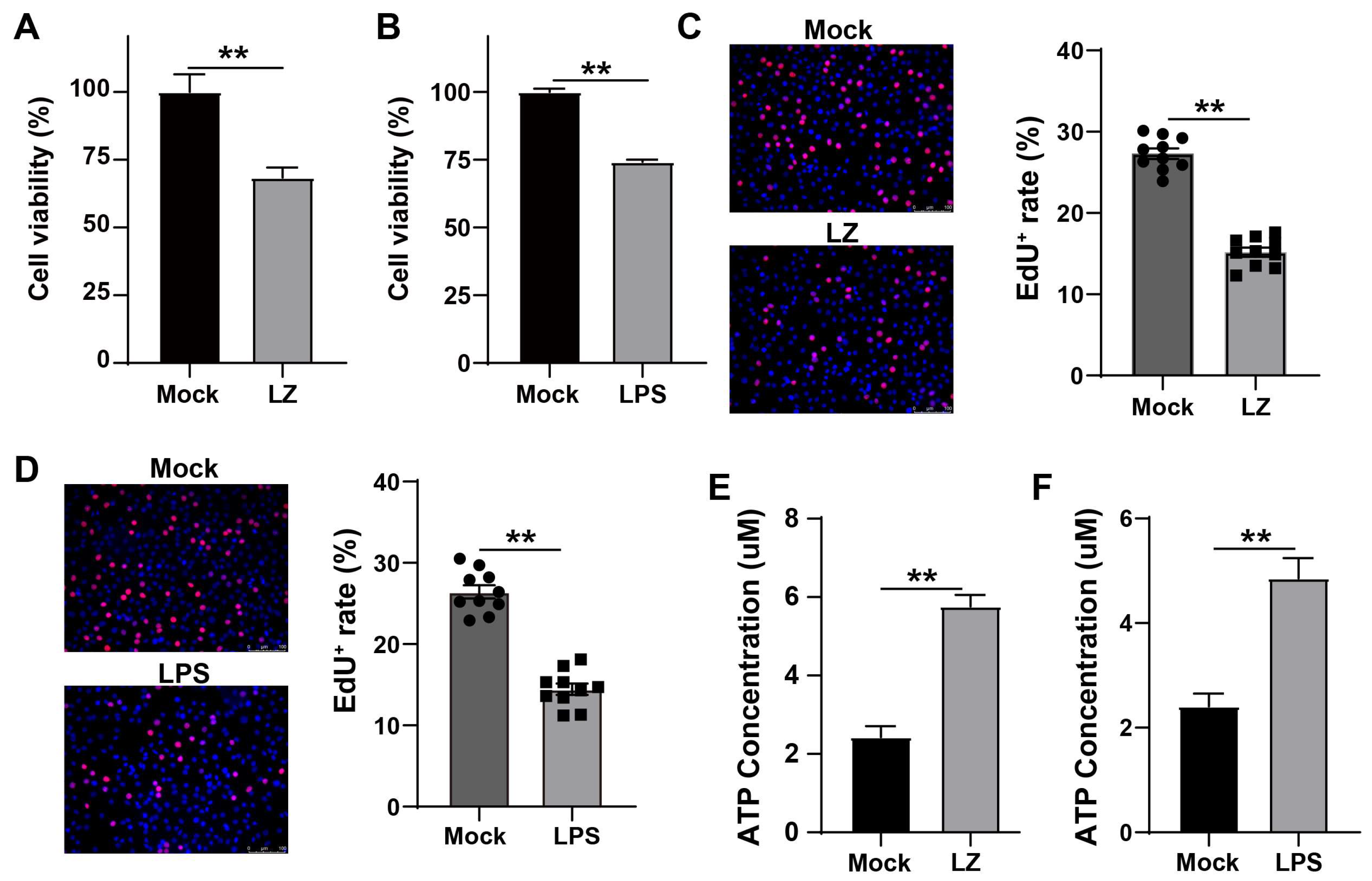 Cells 12 00751 g001 Cells 12 00751 g001